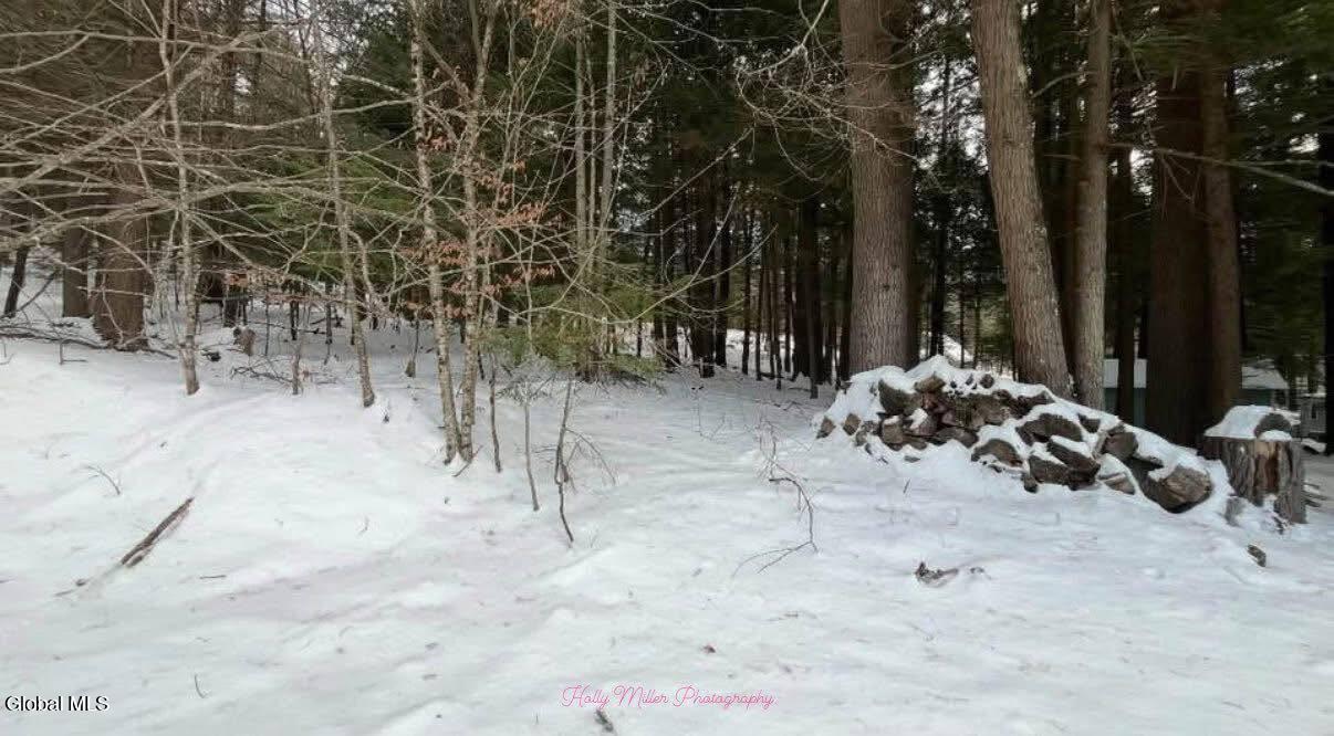 2075 North Shore Road Day, NY 12835 - Photo 7 of 14 599723767_1577166413423355_4115801773054