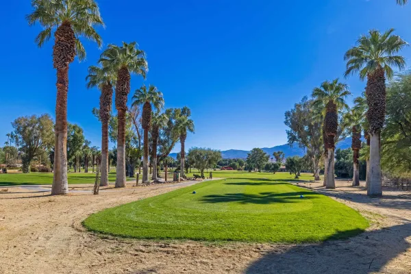 a view of a park with palm trees
