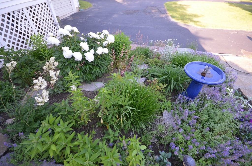 100 Pomeroy Lane Amherst, MA 01002 - Photo 29 of 30 Gallery Image 29