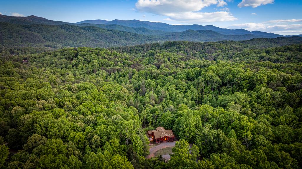 28 Hawkeye Ridge Blue Ridge, GA 30513 - Photo 19 of 104 Gallery Image 19