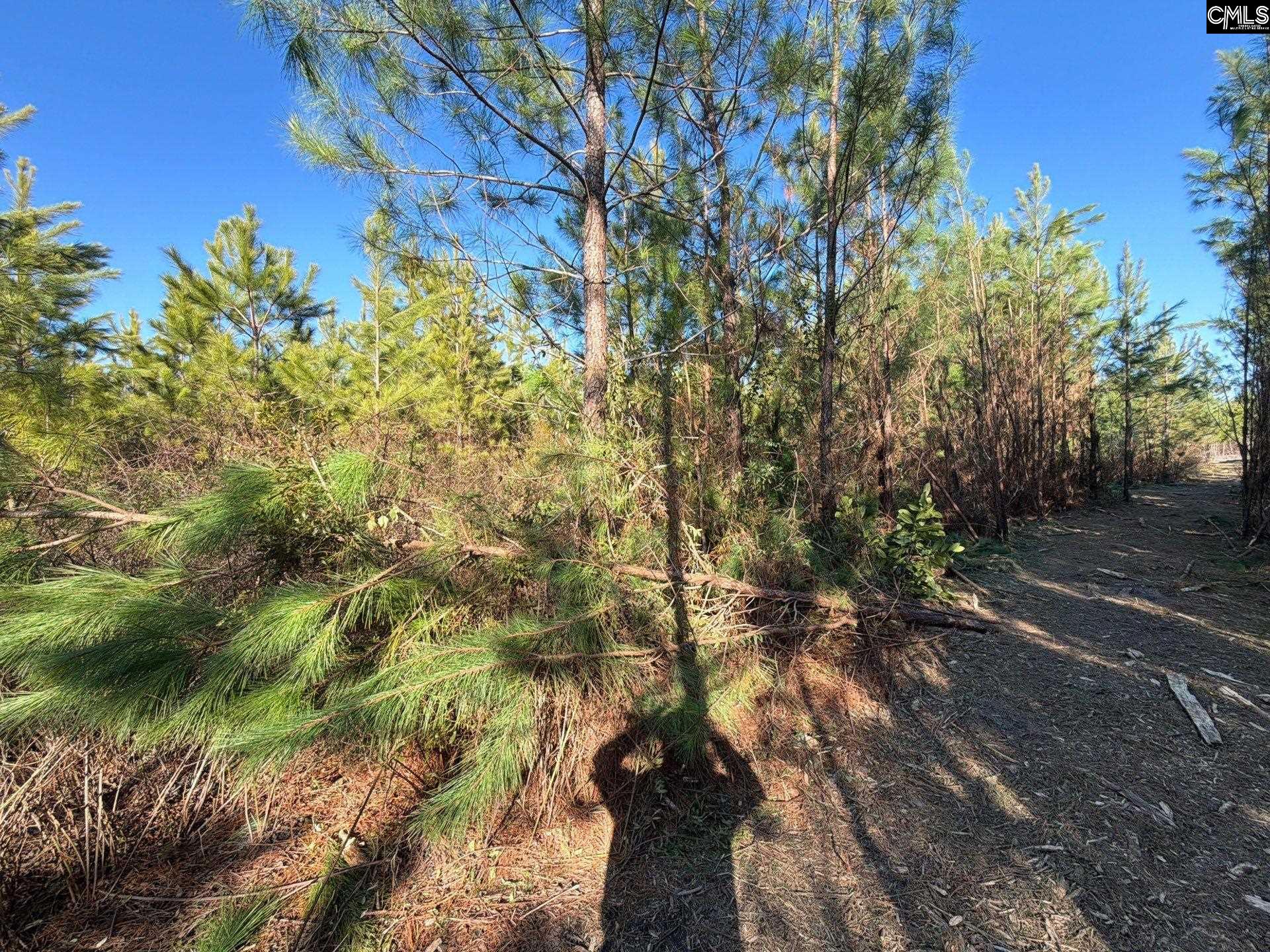 6 Brunson Teal Road, Unit BFF II 6 Patrick, SC 29584 - Photo 15 of 19