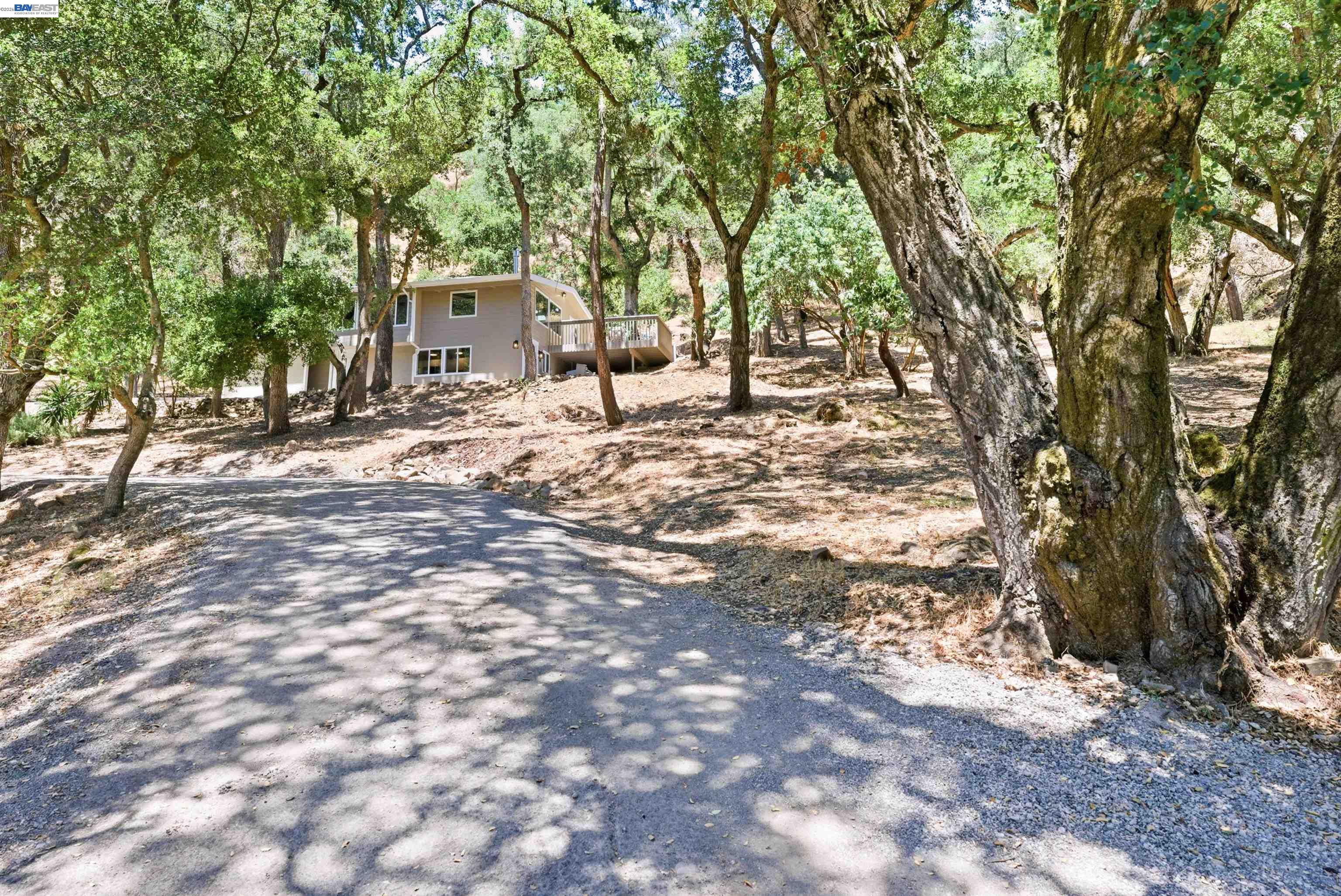 1929 Kilkare Road Sunol, CA 94586 - Photo 24 of 24 a view of a yard with plants and trees