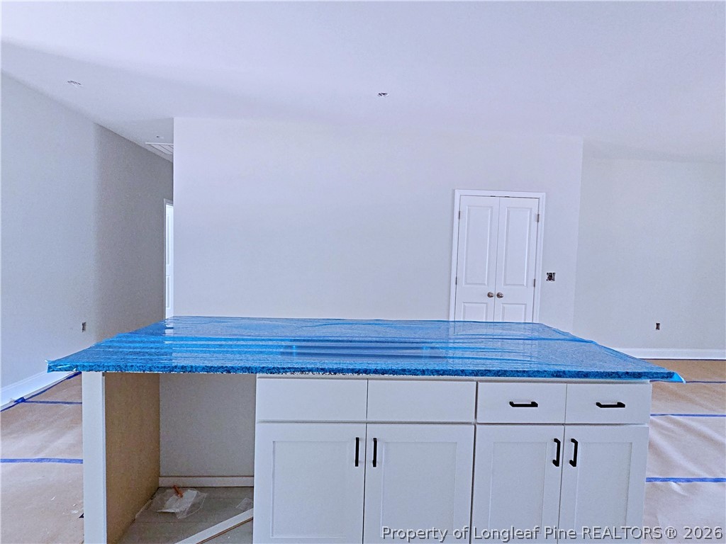 490 Needmore Road Carthage, NC 28327 - Photo 7 of 21 Gallery Image 7