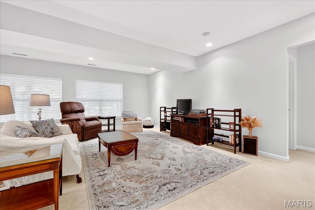 23 Sappington Villa Court St. Louis, MO 63126 - Photo 27 of 43