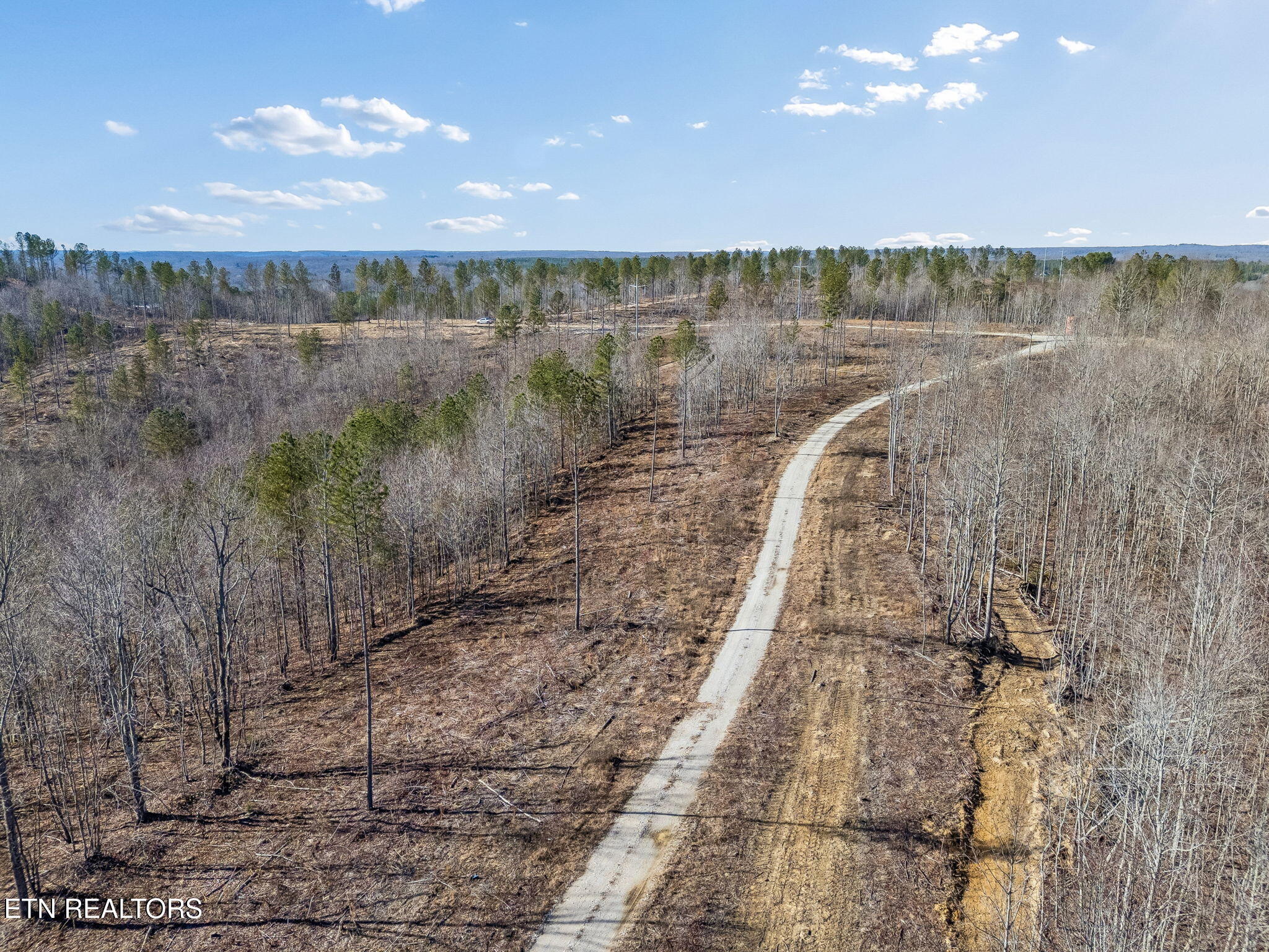 27 Sr Sunbright, TN 37872 - Photo 12 of 29 12-Tract 38 - 011