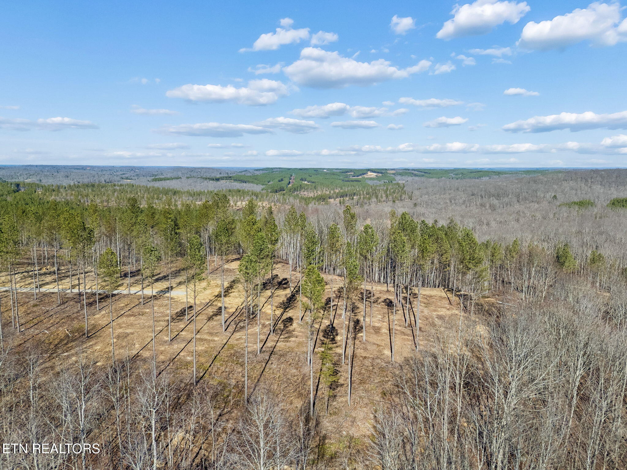 27 Sr Sunbright, TN 37872 - Photo 13 of 29 13-Tract 38 - 012