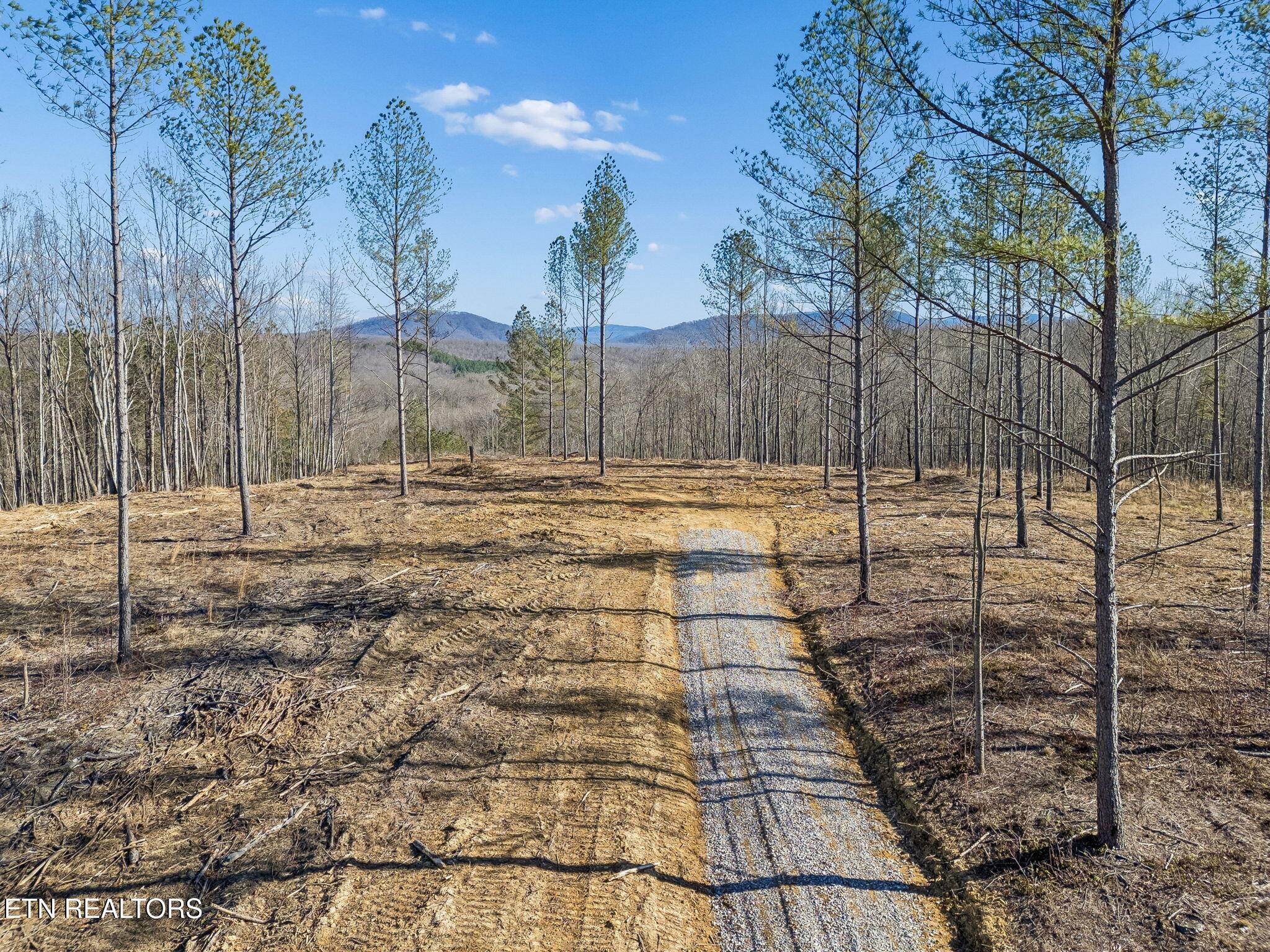 27 Sr Sunbright, TN 37872 - Photo 14 of 29 14-Tract 38 - 013