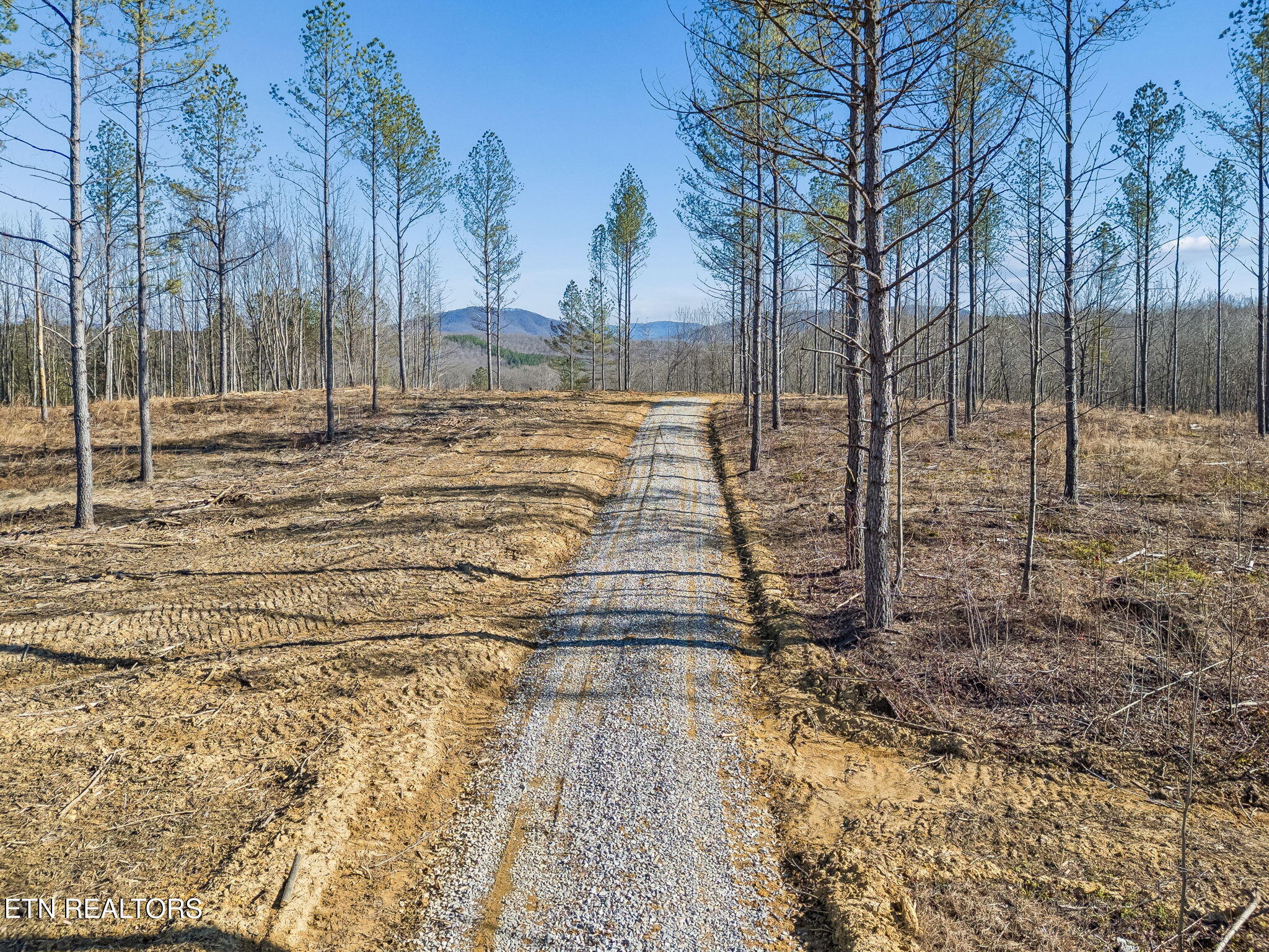27 Sr Sunbright, TN 37872 - Photo 15 of 29 15-Tract 38 - 014