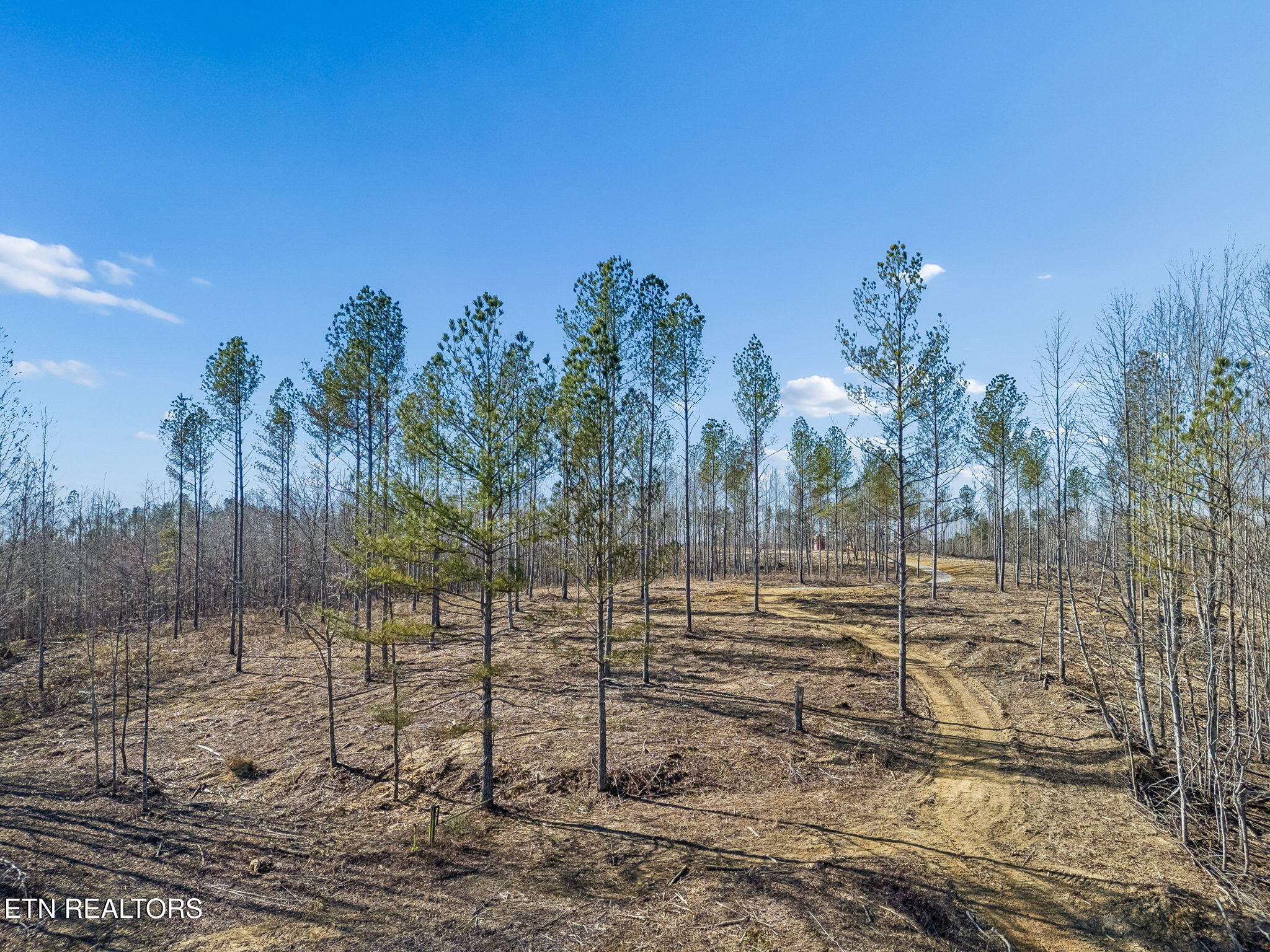 27 Sr Sunbright, TN 37872 - Photo 17 of 29 17-Tract 38 - 016