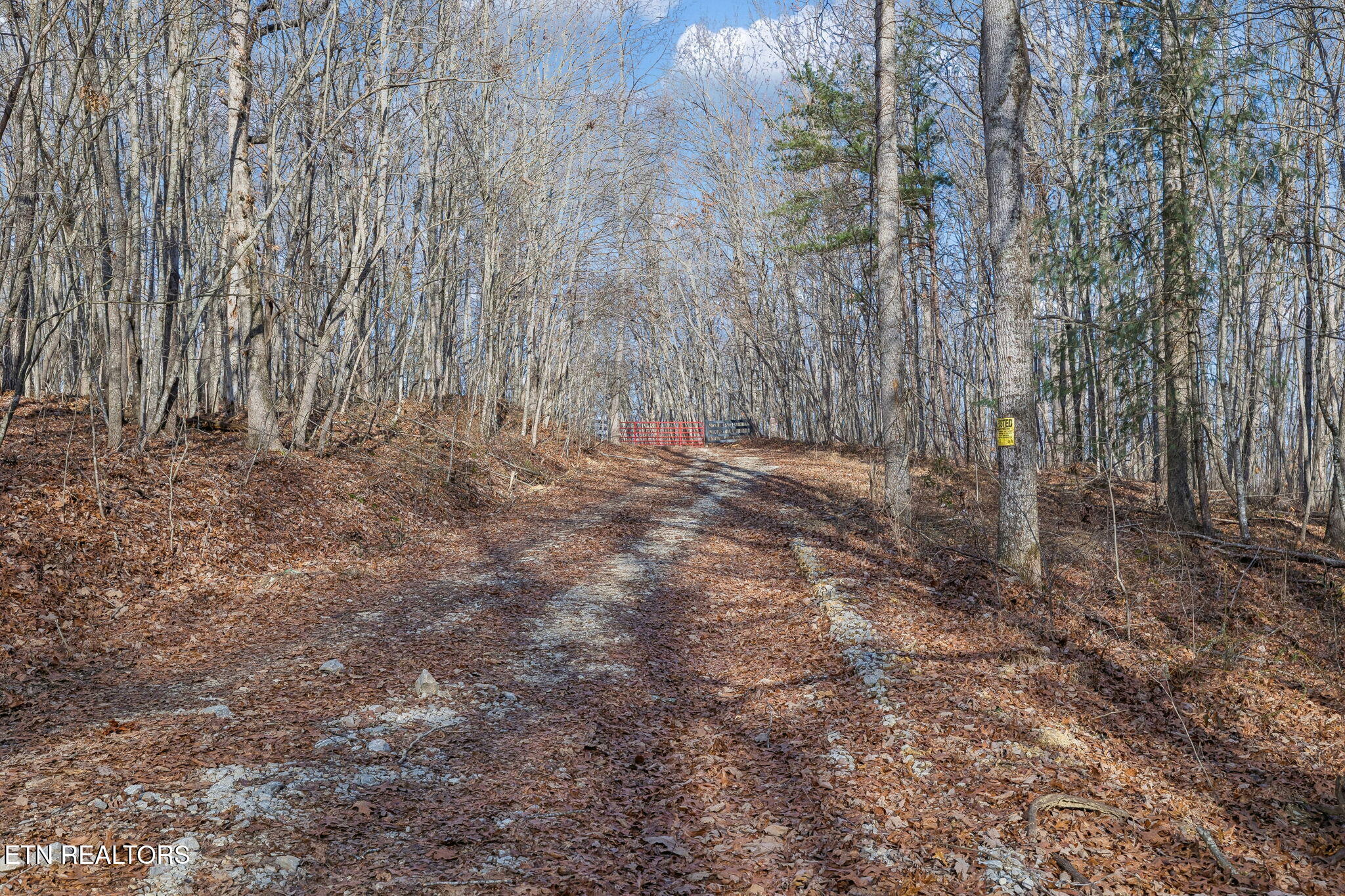 27 Sr Sunbright, TN 37872 - Photo 19 of 29 20-Tract 38 - 019