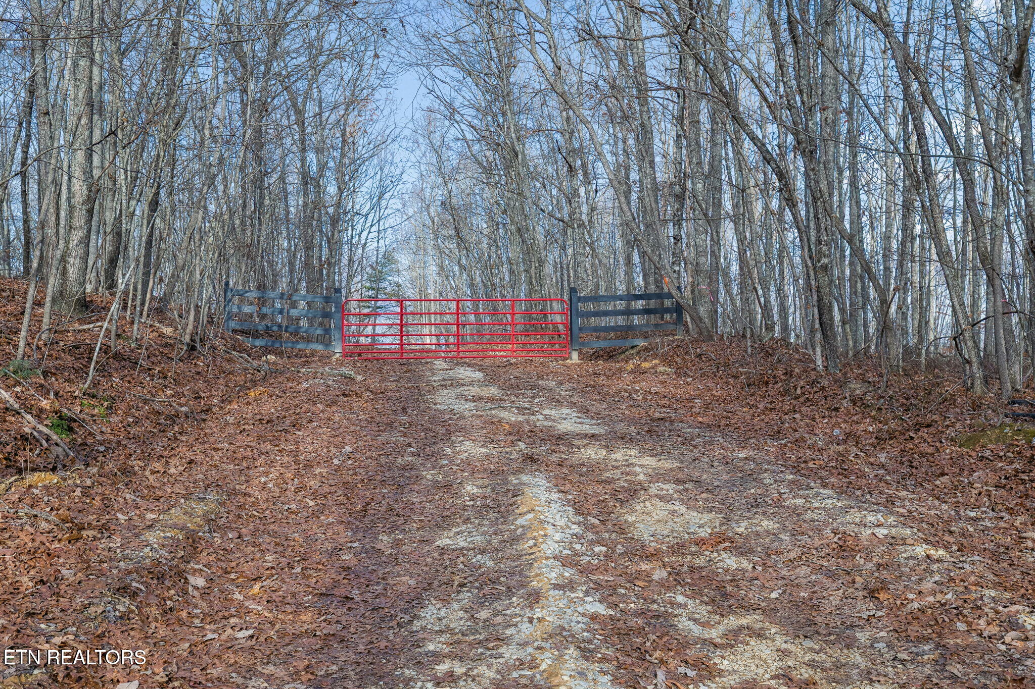 27 Sr Sunbright, TN 37872 - Photo 20 of 29 21-Tract 38 - 020