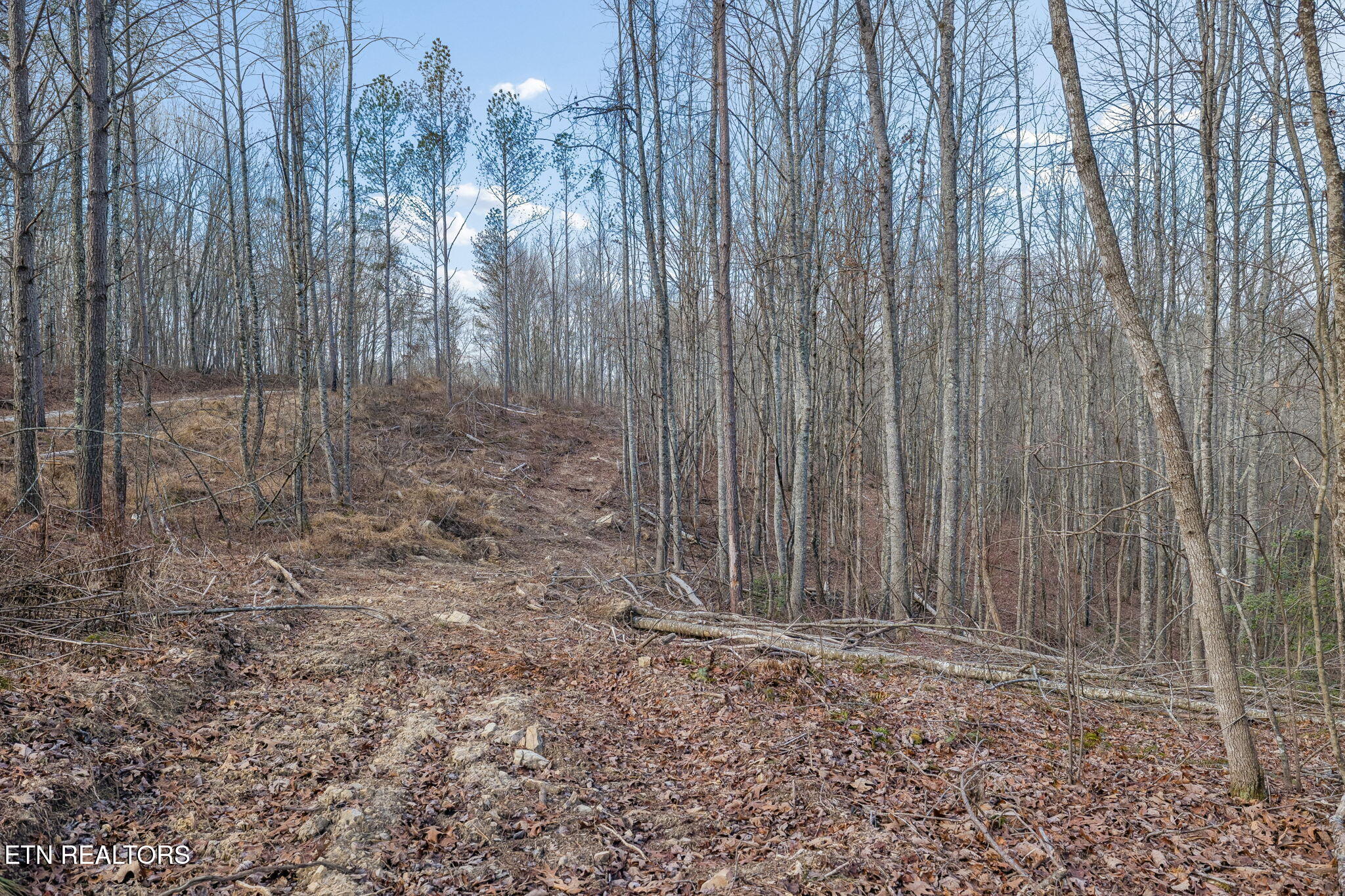27 Sr Sunbright, TN 37872 - Photo 22 of 29 23-Tract 38 - 022