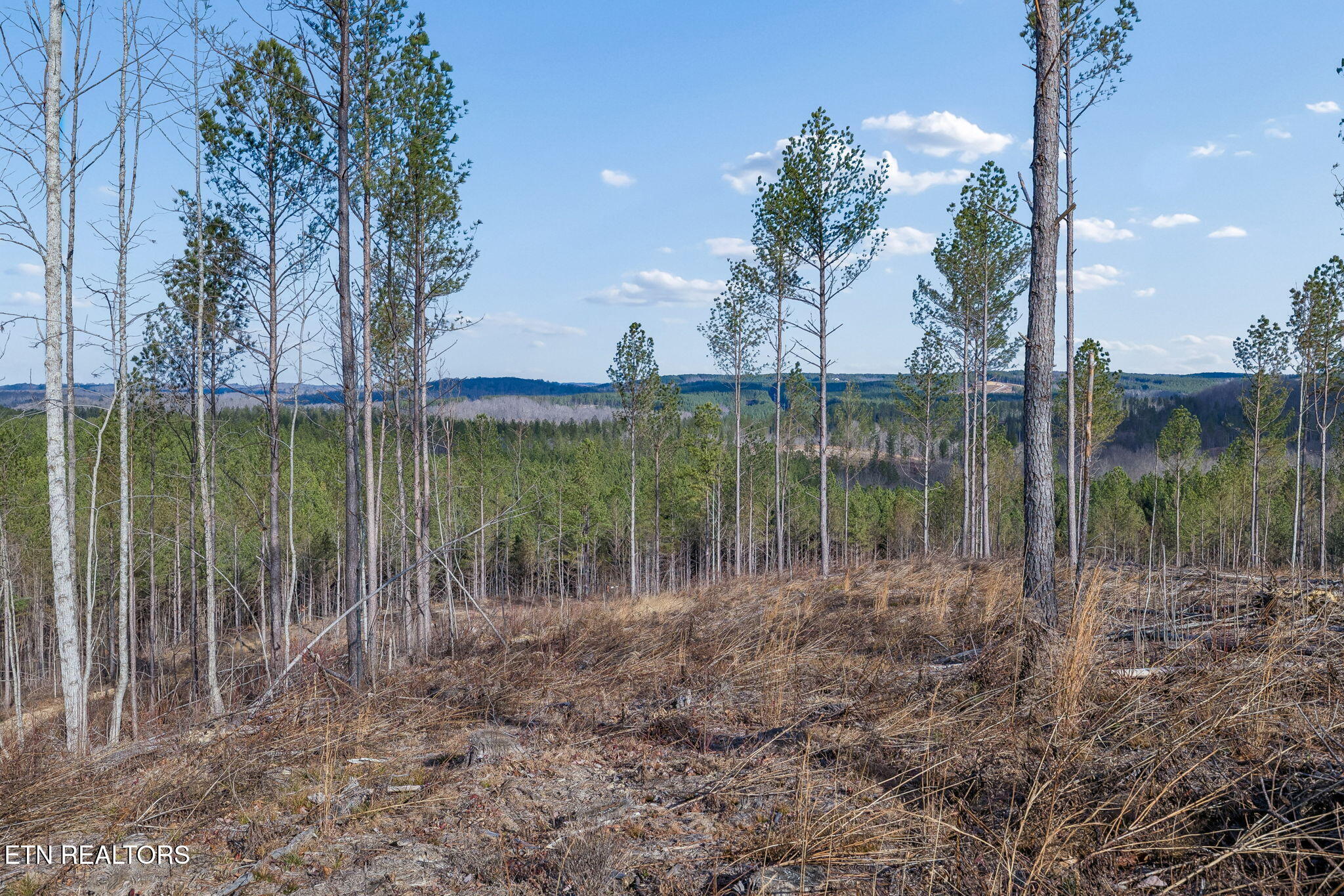 27 Sr Sunbright, TN 37872 - Photo 23 of 29 24-Tract 38 - 023