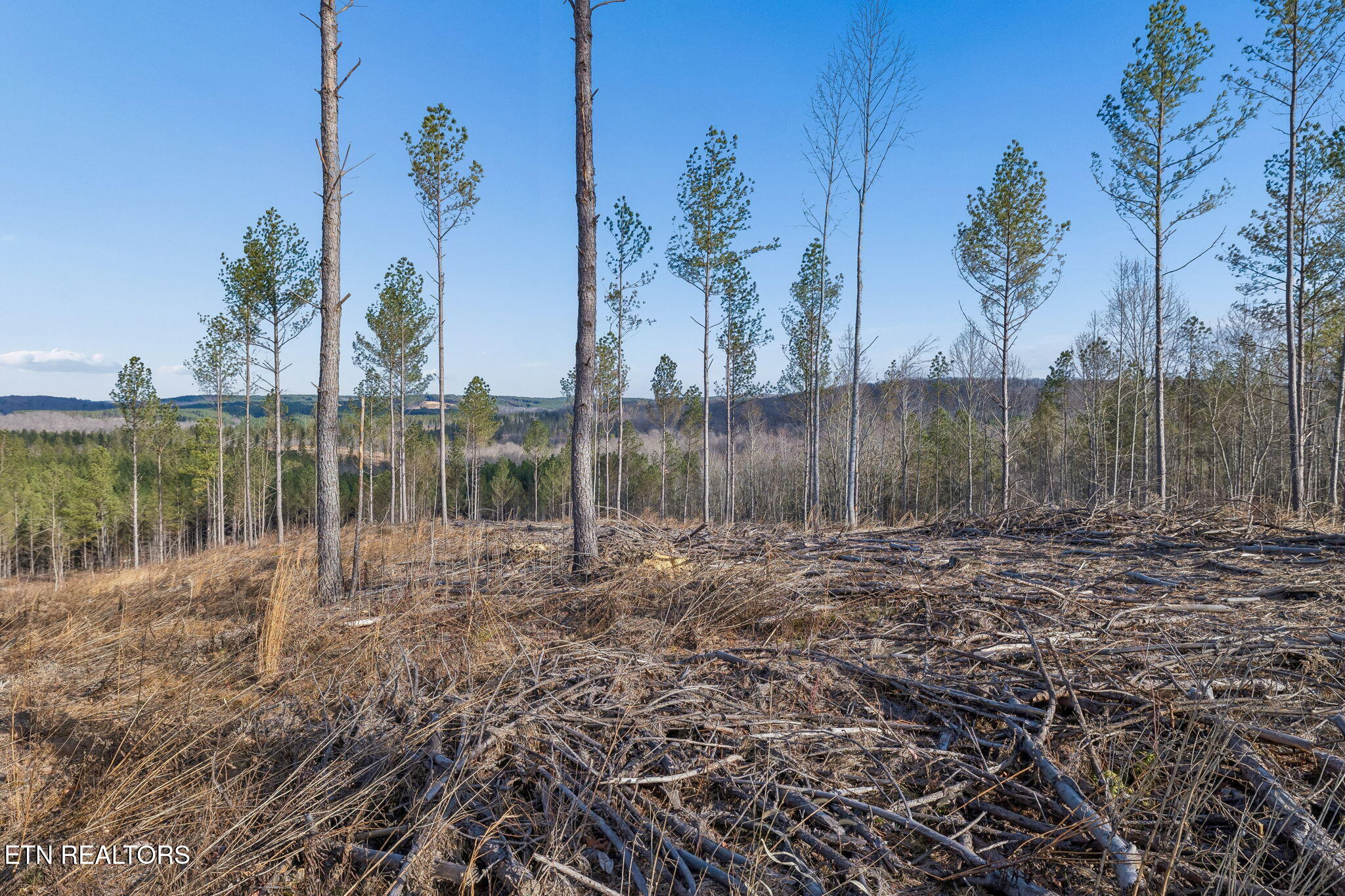 27 Sr Sunbright, TN 37872 - Photo 24 of 29 25-Tract 38 - 024