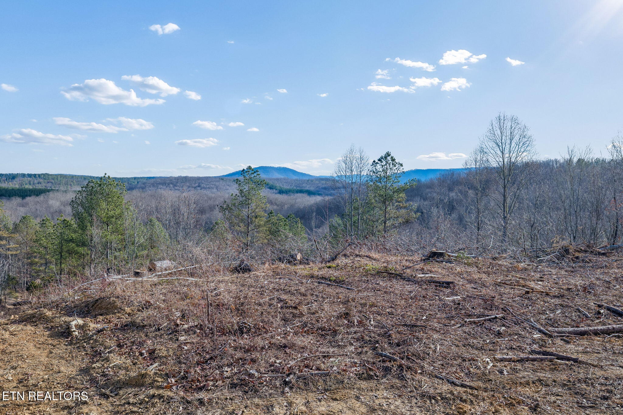 27 Sr Sunbright, TN 37872 - Photo 25 of 29 26-Tract 38 - 025