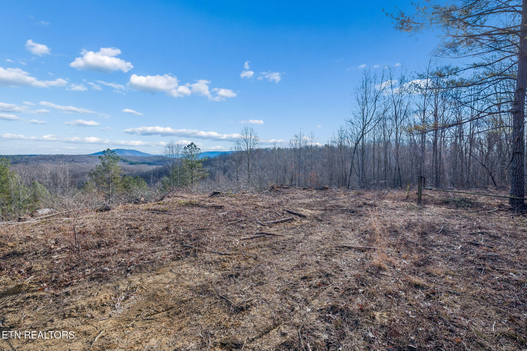 27 Sr Sunbright, TN 37872 - Photo 26 of 29 27-Tract 38 - 026