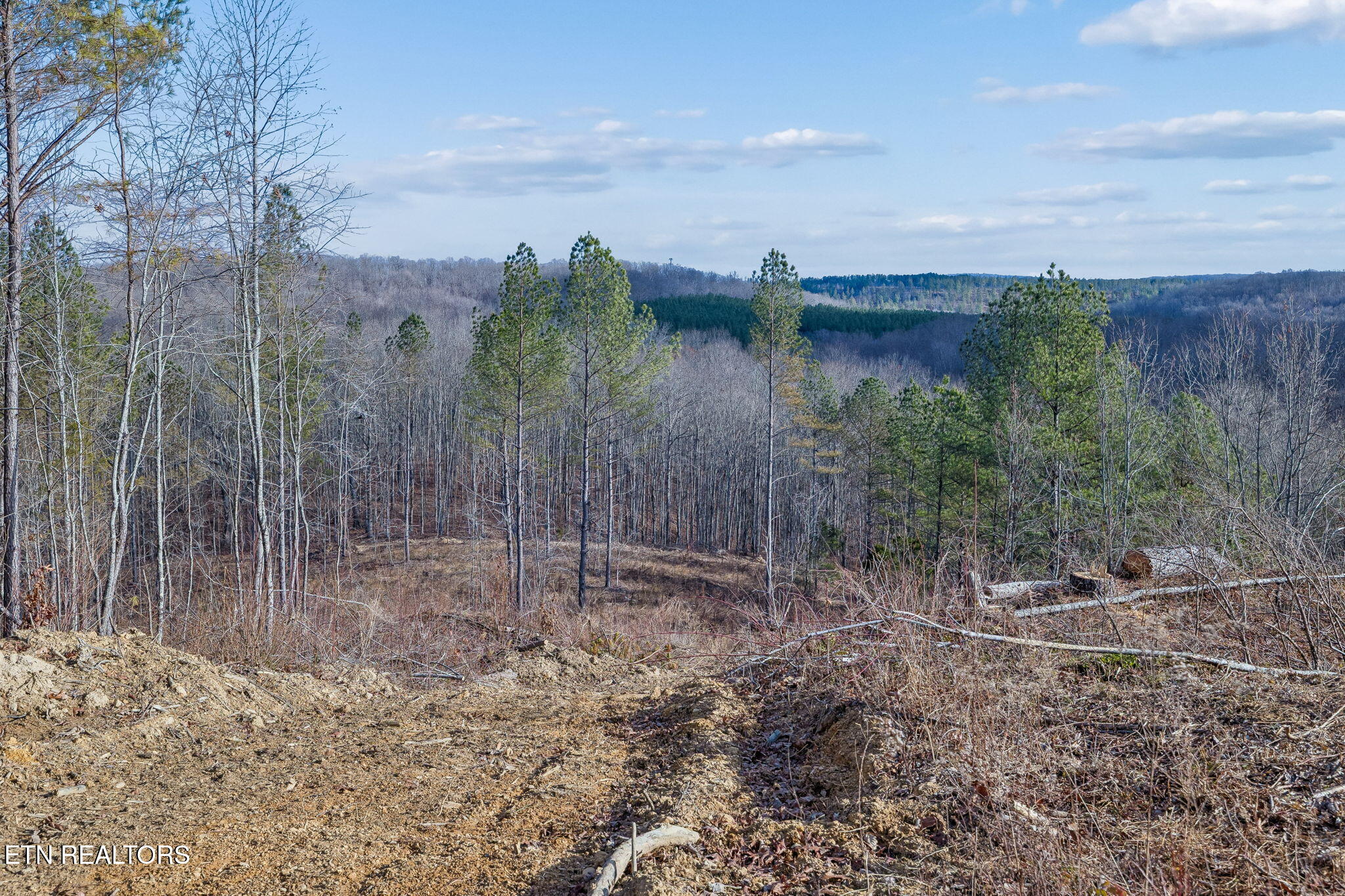 27 Sr Sunbright, TN 37872 - Photo 27 of 29 28-Tract 38 - 027