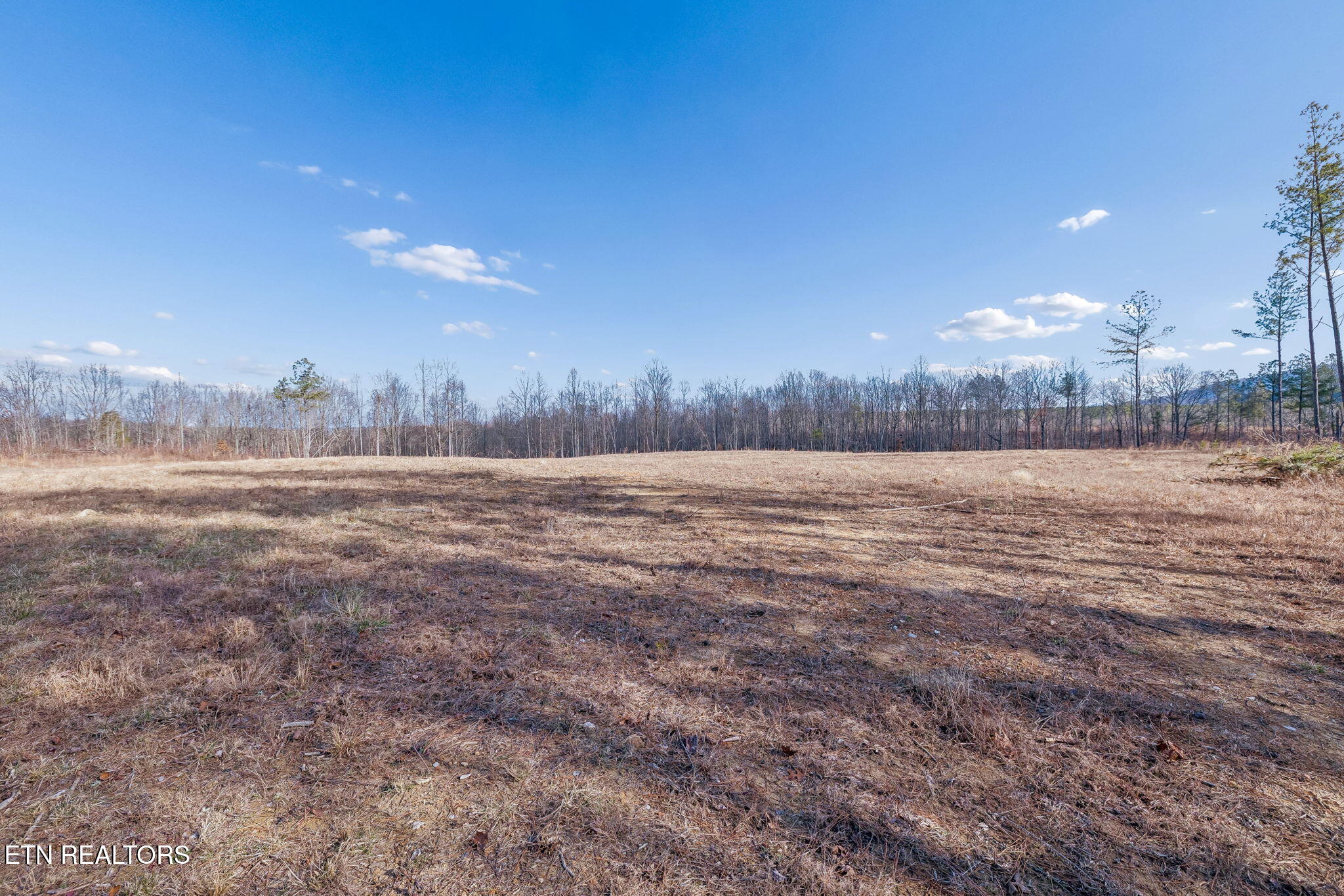 27 Sr Sunbright, TN 37872 - Photo 28 of 29 30-Tract 38 - 029