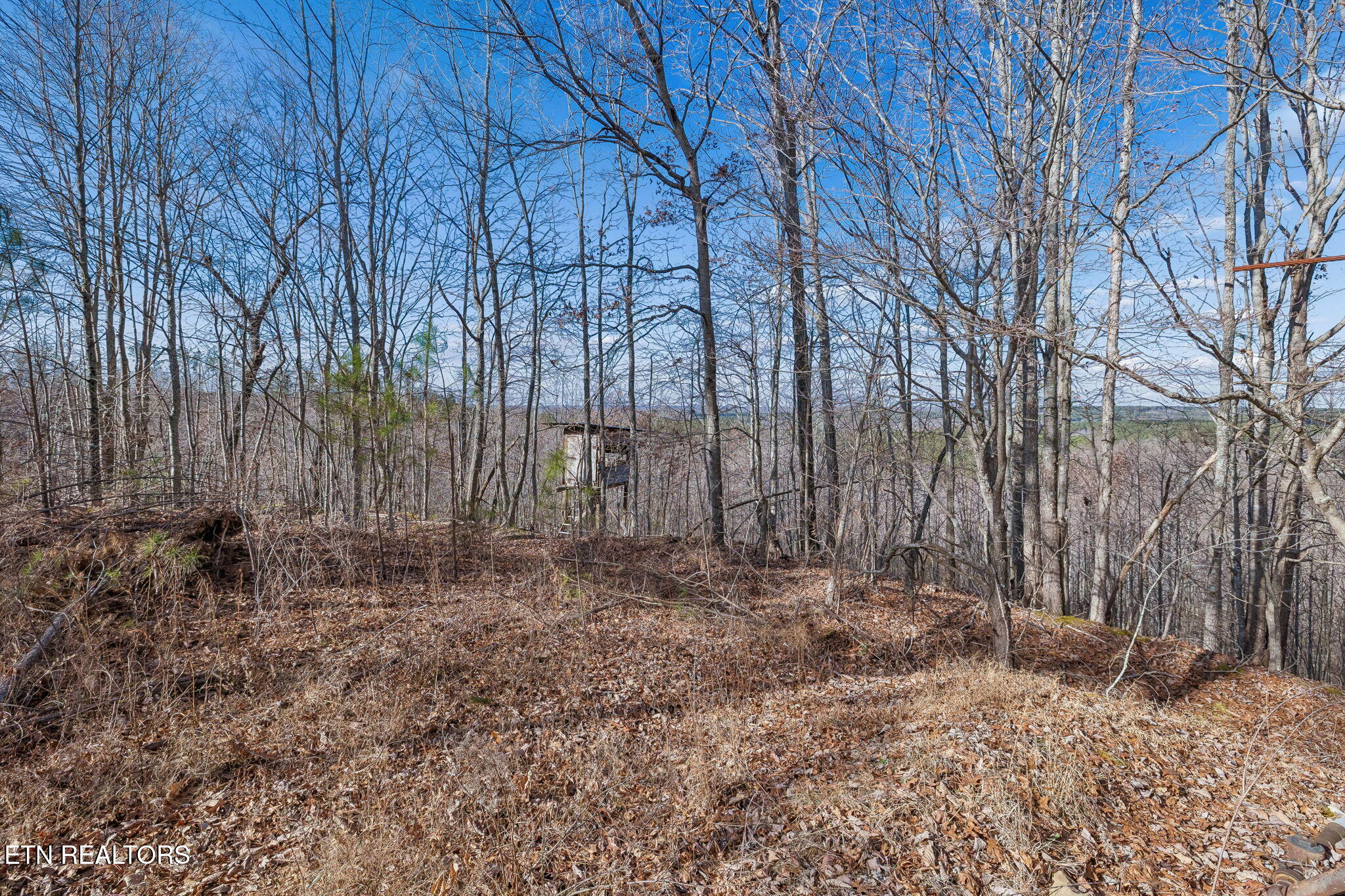 27 Sr Sunbright, TN 37872 - Photo 29 of 29 31-Tract 38 - 030
