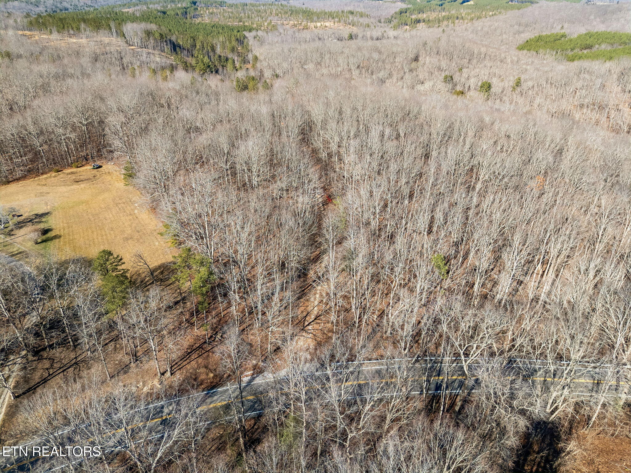 27 Sr Sunbright, TN 37872 - Photo 6 of 29 6-Tract 38 - 005