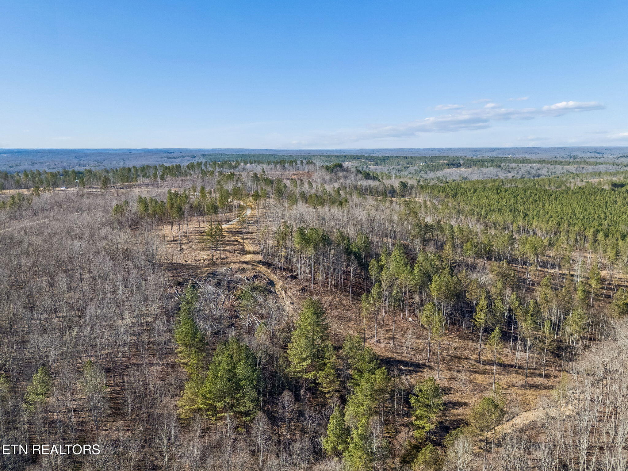 27 Sr Sunbright, TN 37872 - Photo 7 of 29 7-Tract 38 - 006