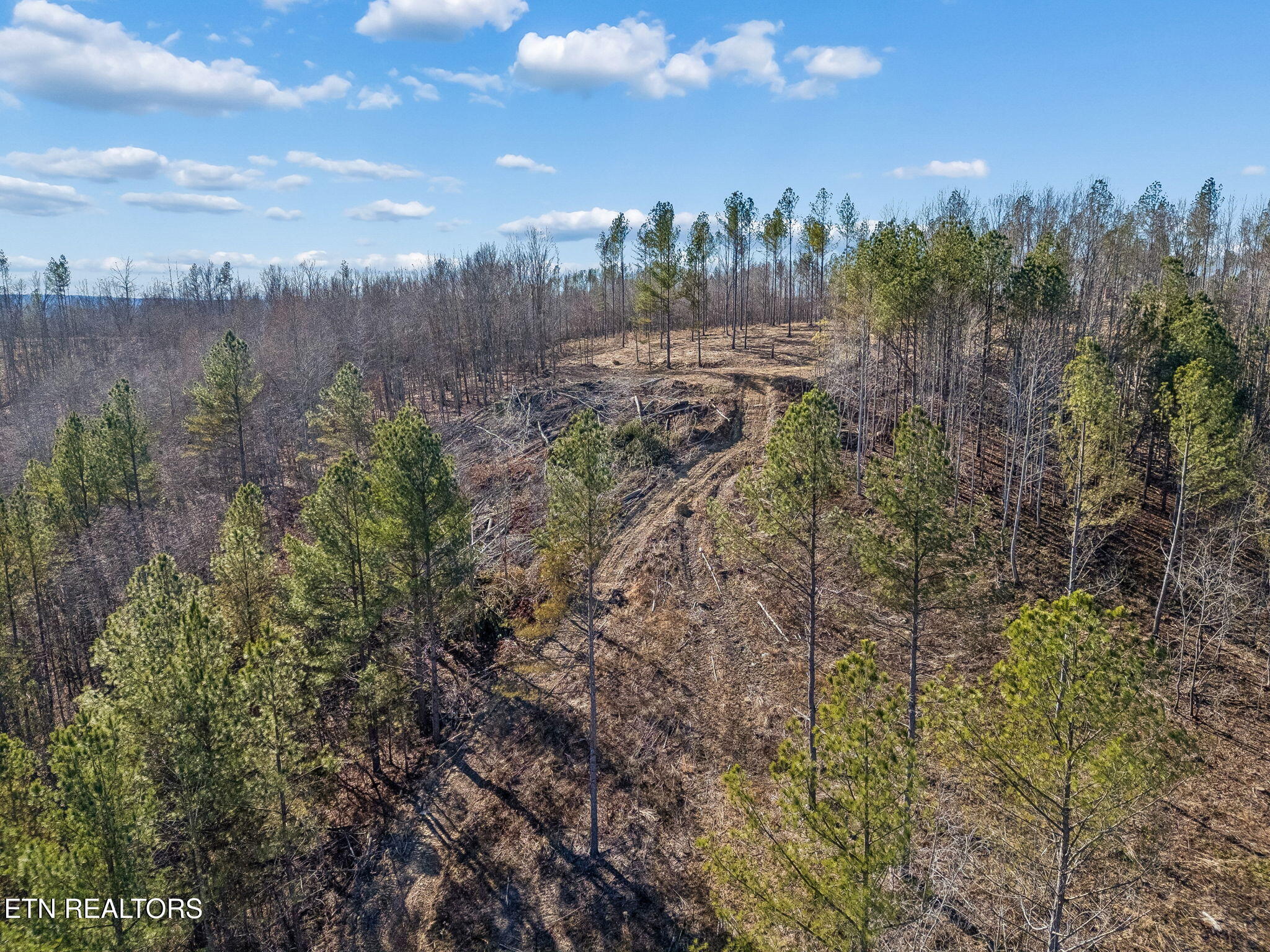 27 Sr Sunbright, TN 37872 - Photo 8 of 29 8-Tract 38 - 007