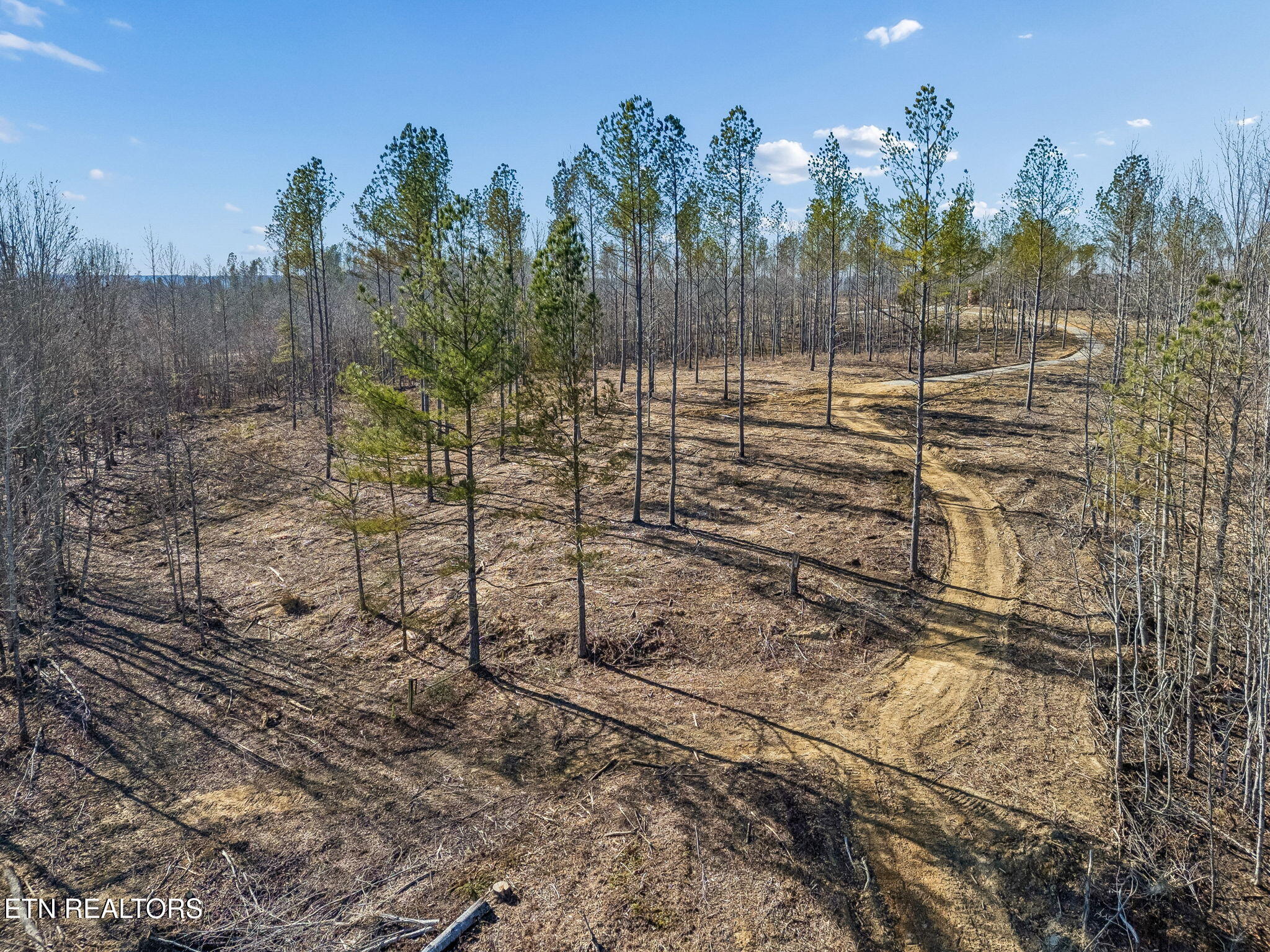 27 Sr Sunbright, TN 37872 - Photo 9 of 29 9-Tract 38 - 008