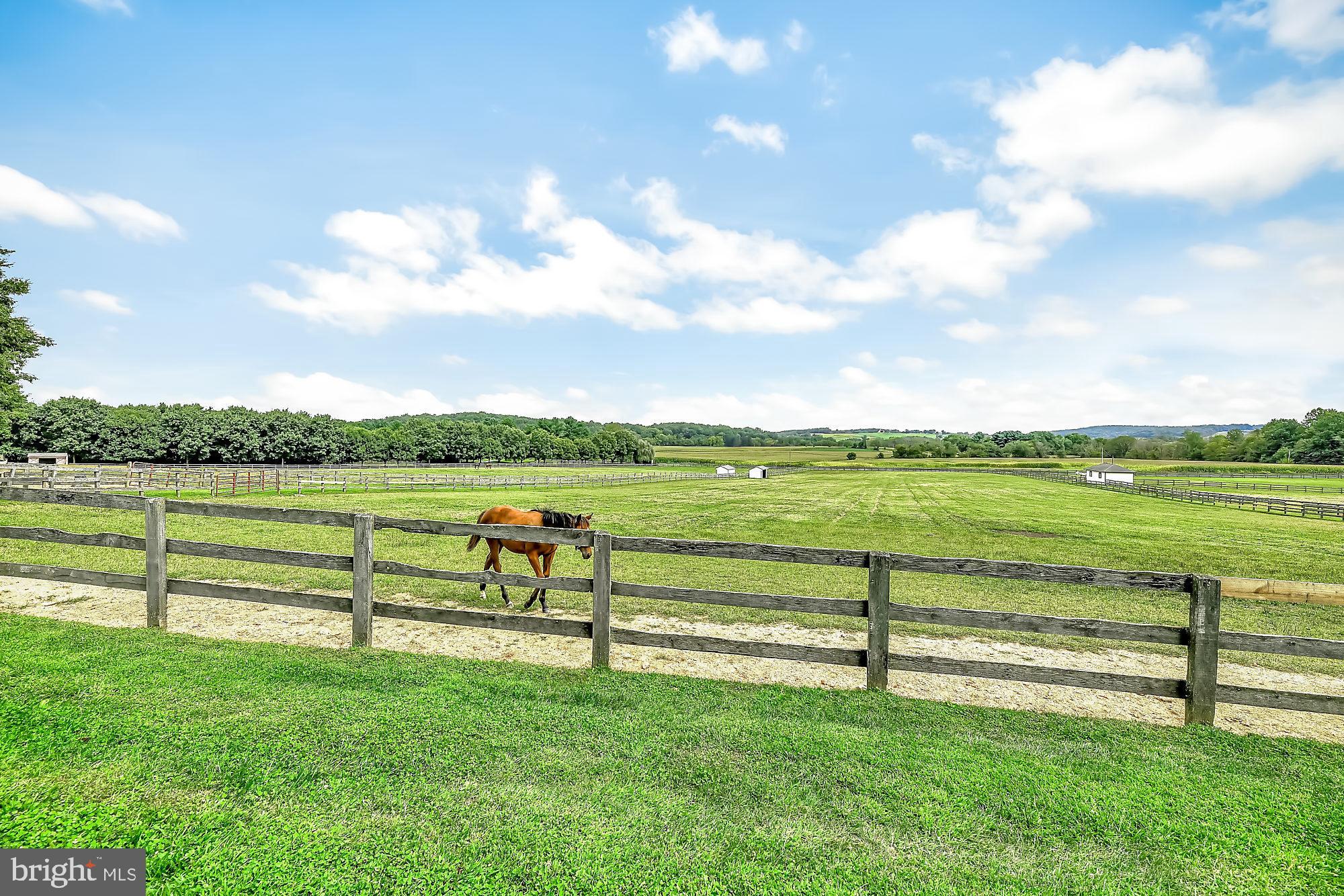 13224 Longnecker Road Glyndon, MD 21136 - Photo 16 of 58 Bring your babies home!