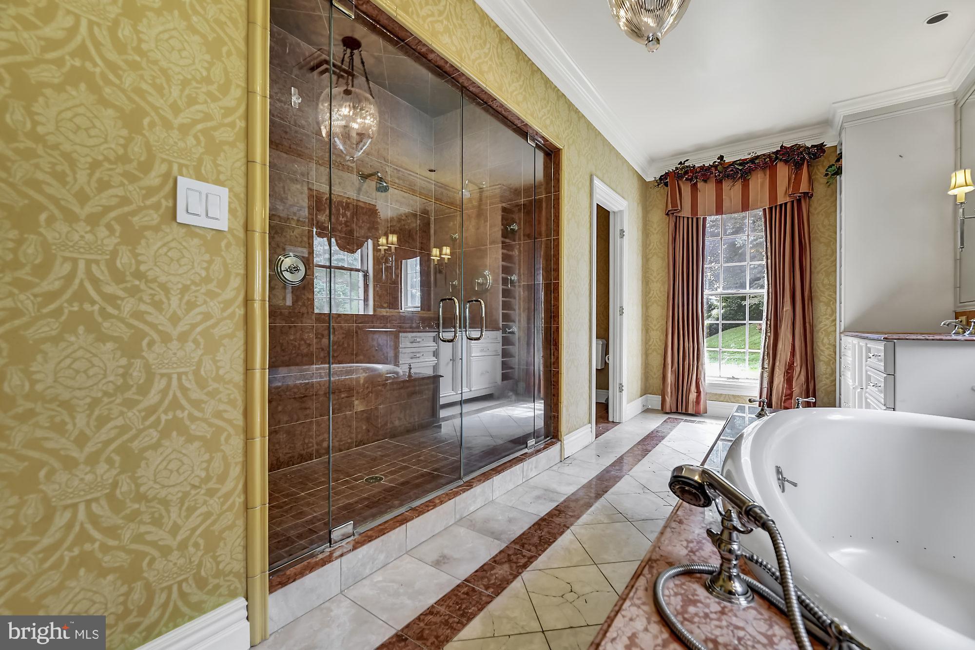 13224 Longnecker Road Glyndon, MD 21136 - Photo 39 of 58 Master Bathroom