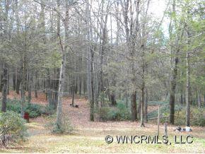 1311 Ridgepond Road Spruce Pine, NC 28777 - Photo 11 of 11 Gallery Image 11