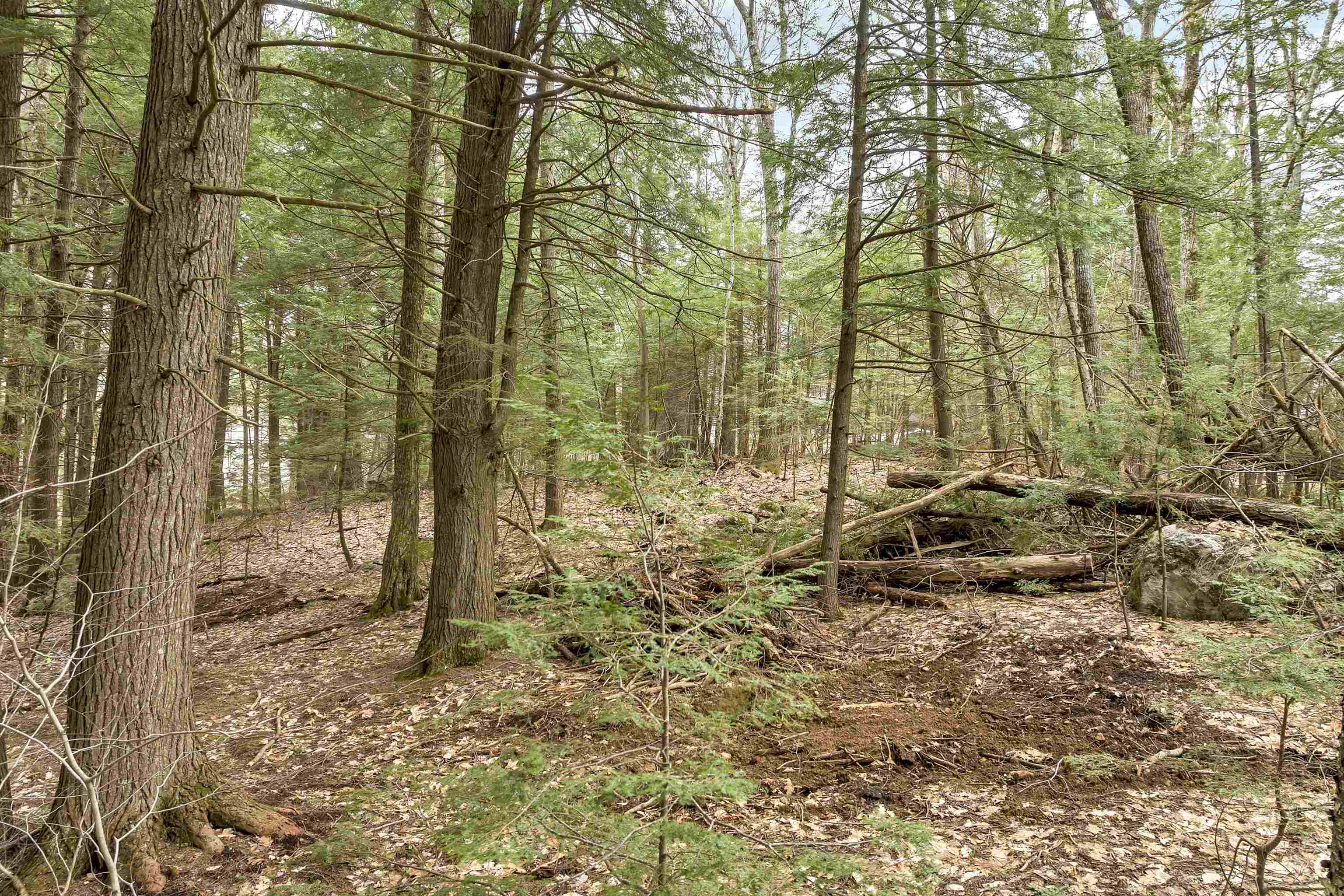 0 Valley Road Center Tuftonboro, NH 03816 - Photo 11 of 11