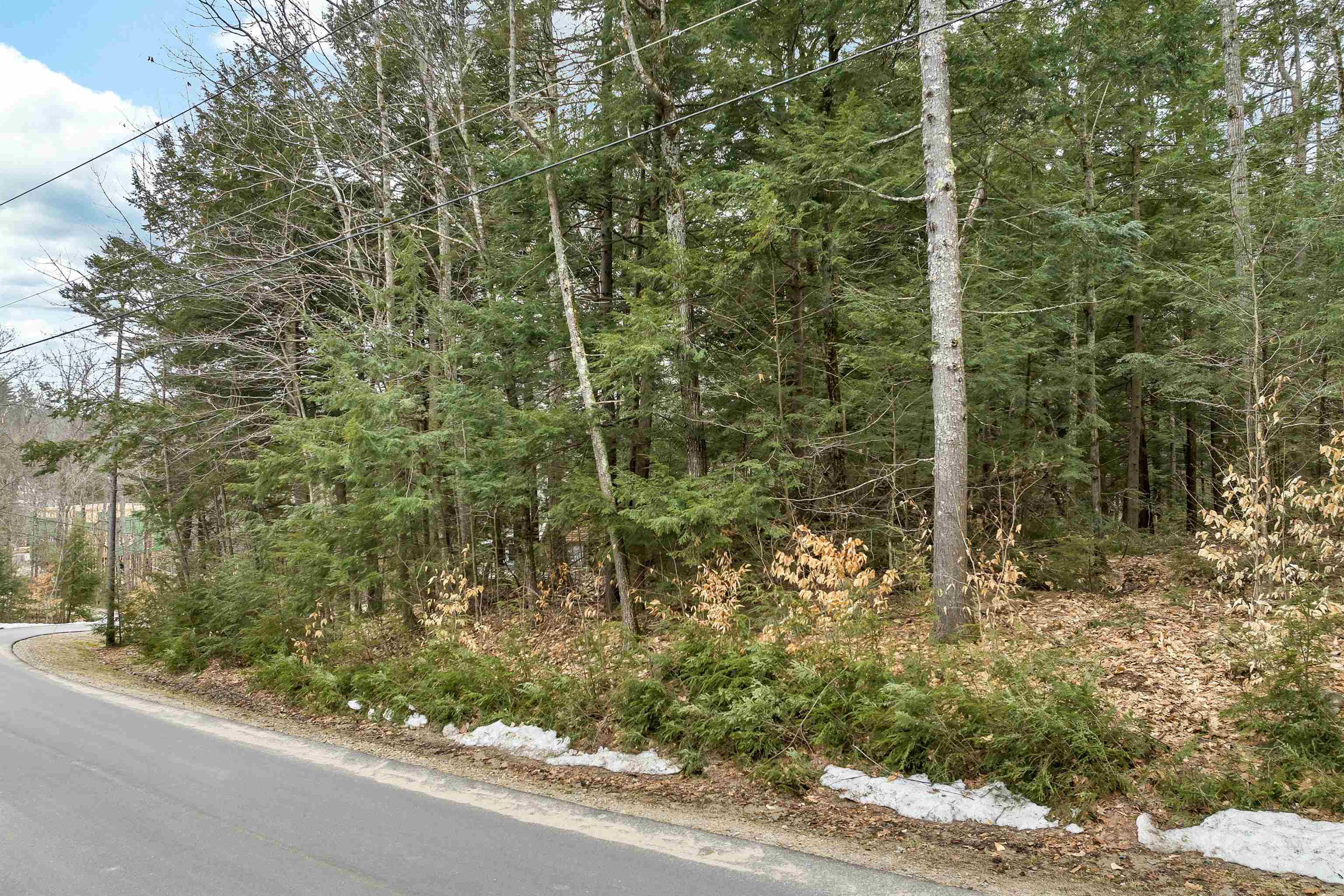0 Valley Road Center Tuftonboro, NH 03816 - Photo 9 of 11