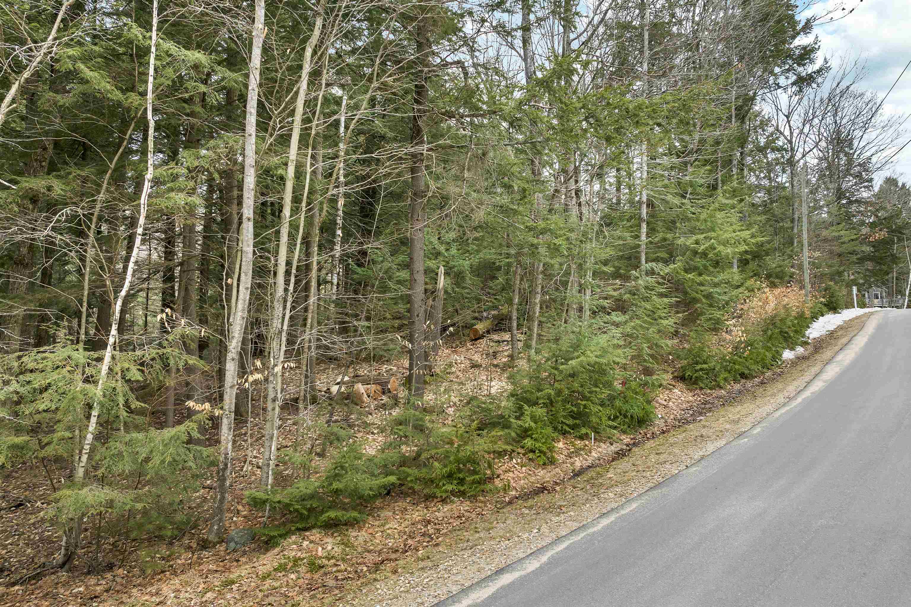 0 Valley Road Center Tuftonboro, NH 03816 - Photo 10 of 11