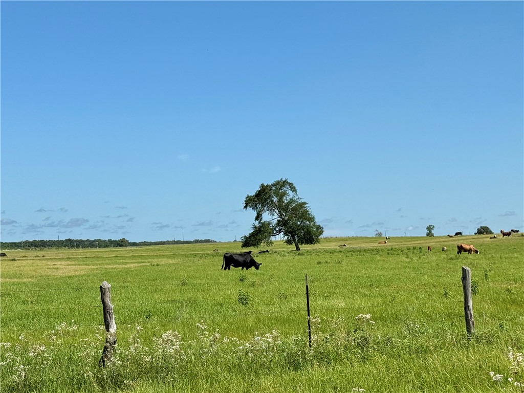 6477 Garhole View Lane Bryan, TX 77808 - Photo 5 of 10 View of yard featuring a rural view