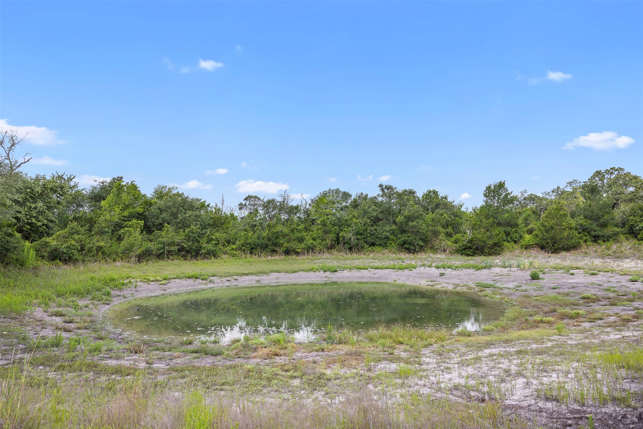 0 Schuster Road Round Top, TX 78954 - Photo 19 of 26