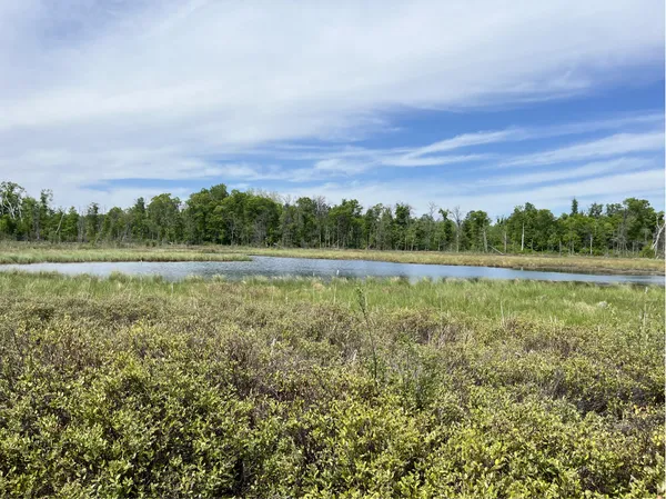 $225,000 | 13384 Sorenson Lake Road, Merrifield, MN 56465