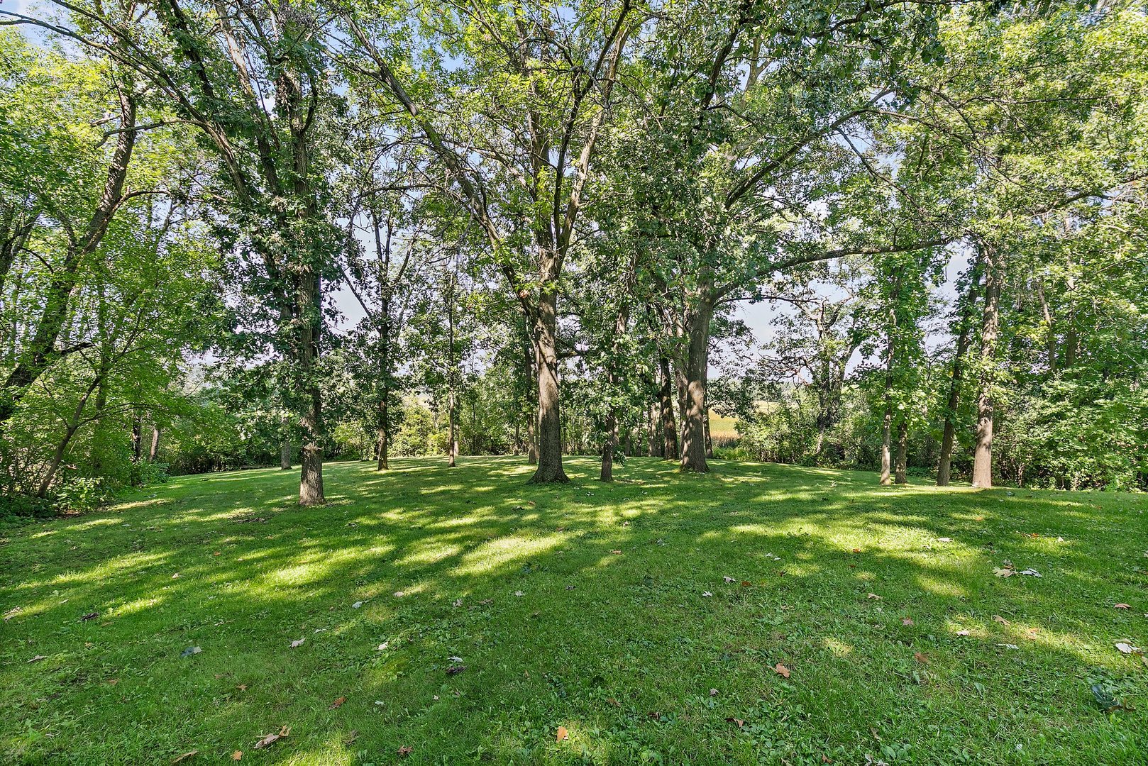 5305 North Ridgeway Road Ringwood, IL 60072 - Photo 24 of 27 a big yard with lots of green space and trees
