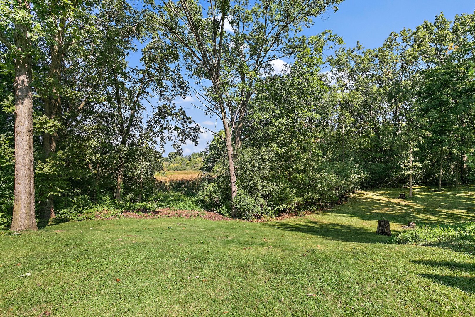 5305 North Ridgeway Road Ringwood, IL 60072 - Photo 25 of 27 a view of a park with large trees