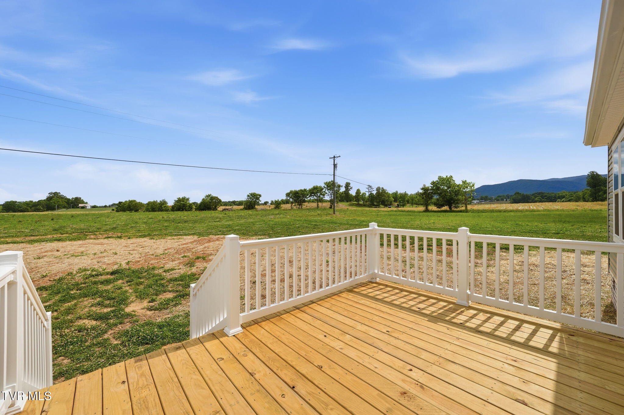 880 Ricker Road Greeneville, TN 37743 - Photo 7 of 29 BACK DECK