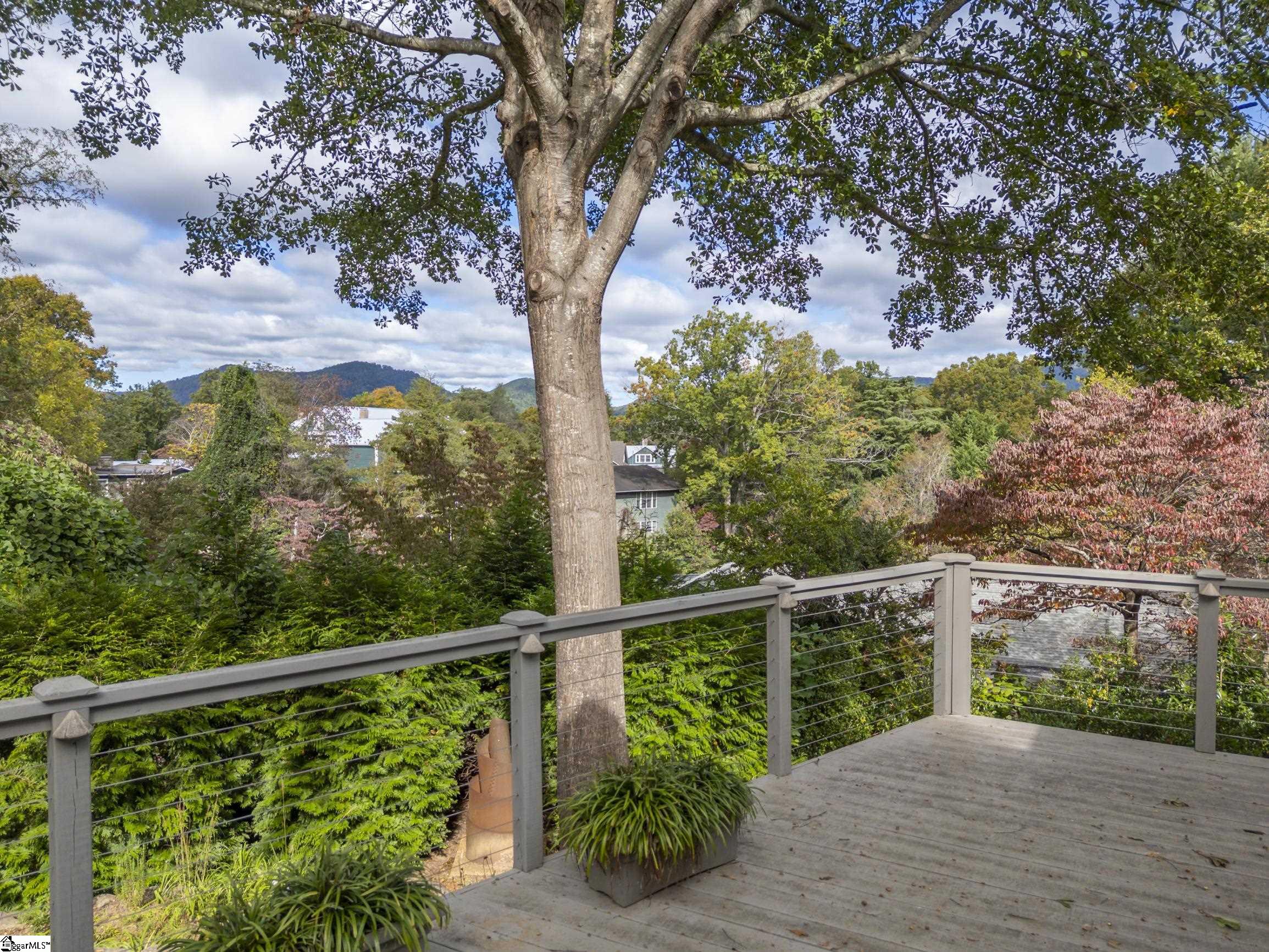 55 1st Street Tryon, NC 28782 - Photo 3 of 43