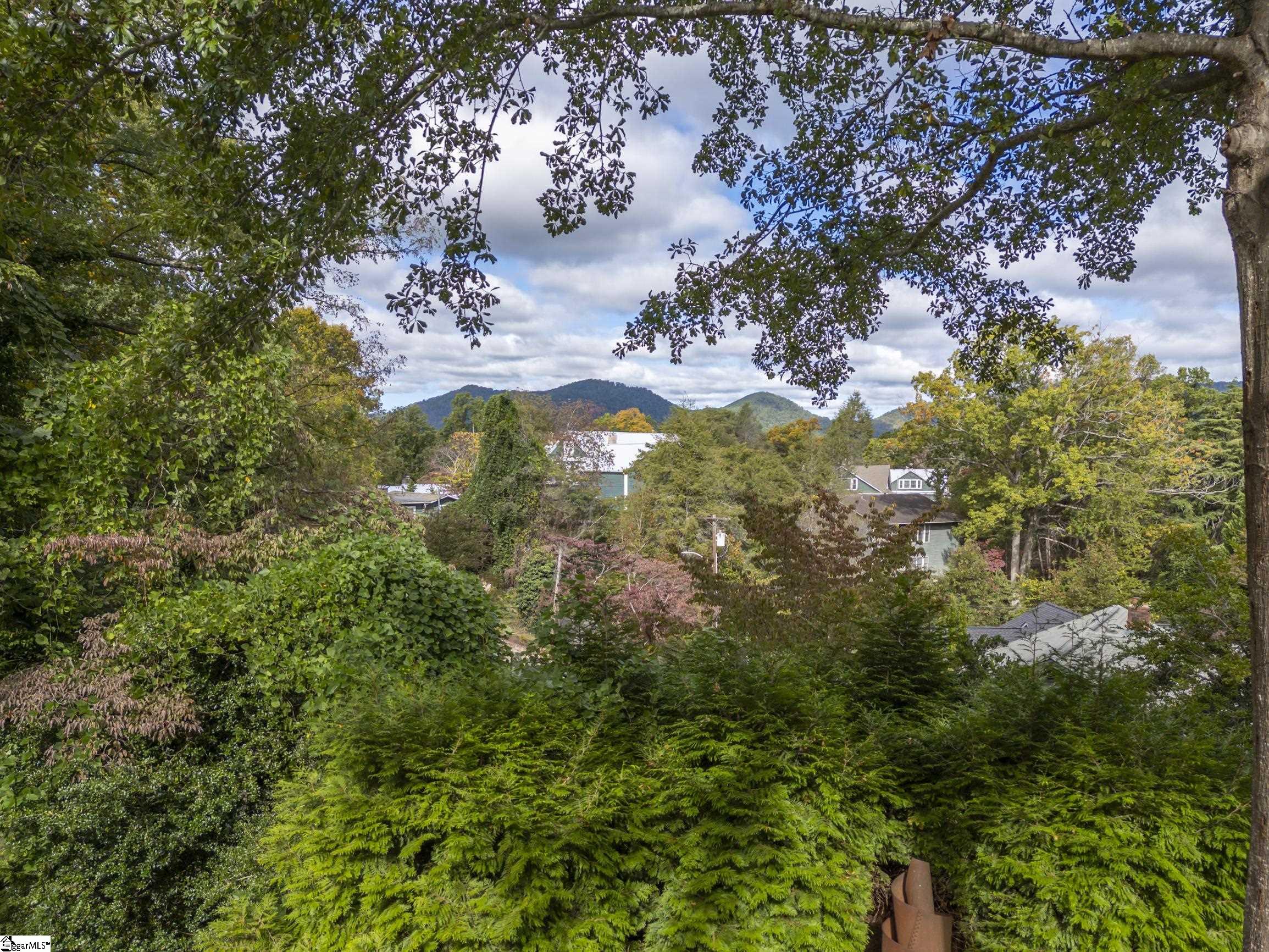 55 1st Street Tryon, NC 28782 - Photo 43 of 43