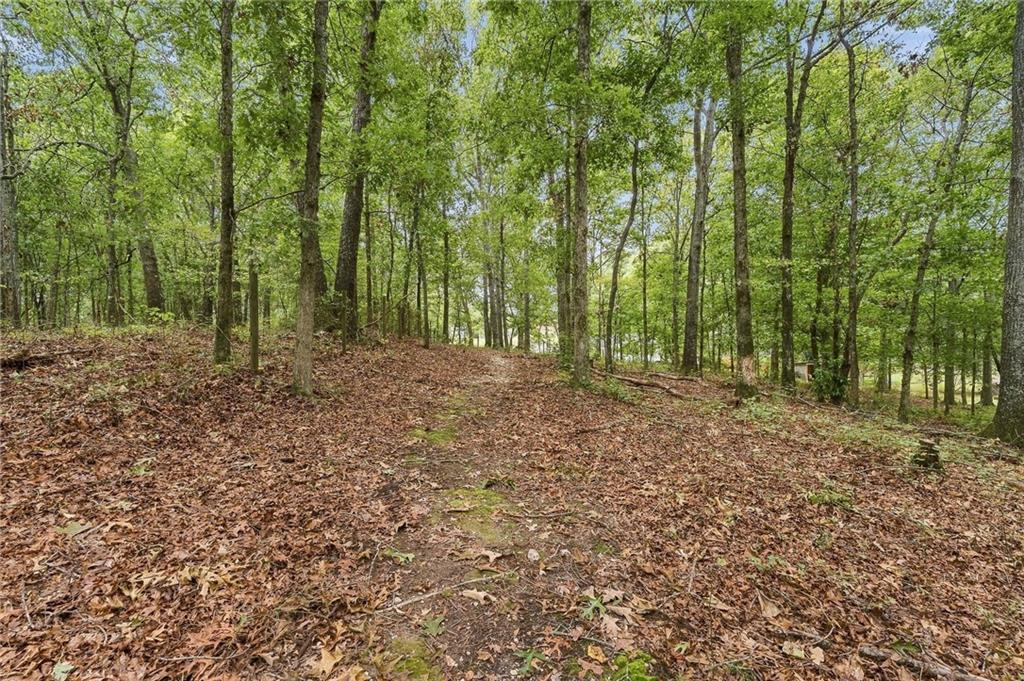 1639 Flowery Branch Road Hoschton, GA 30548 - Photo 56 of 66 Gallery Image 56