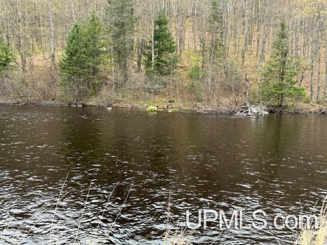 Lot 30 River Country Road Crystal Falls, MI 49920 - Photo 5 of 15
