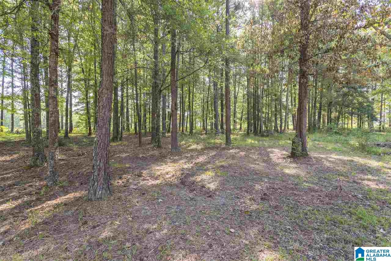 1955 Lumley Road Rainbow City, AL 35906 - Photo 8 of 49