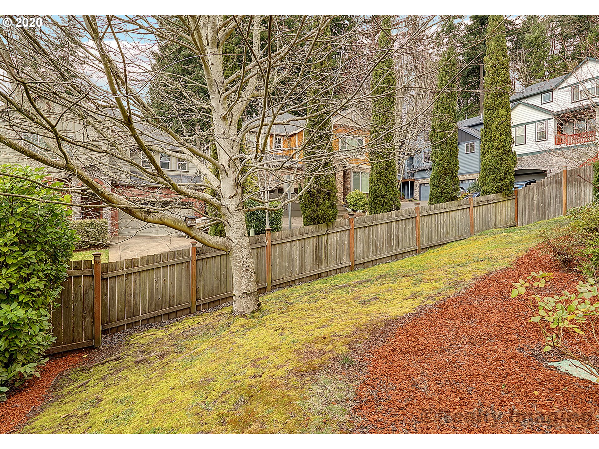 592 Southwest Elderbrook Place Portland, OR 97225 - Photo 28 of 30 a view of a yard with large trees
