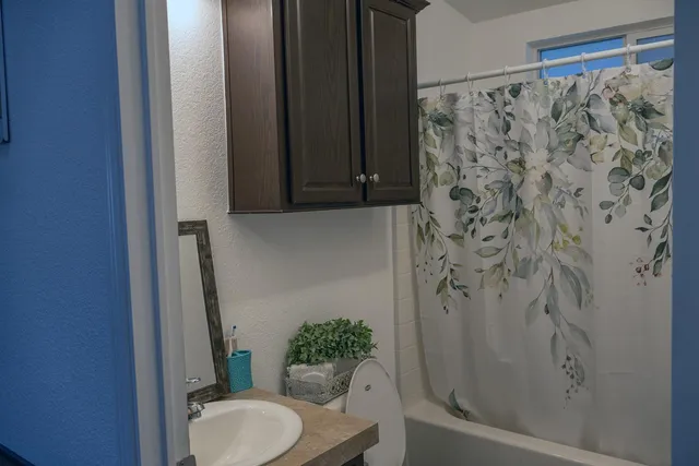 a bathroom with a shower curtain and toilet