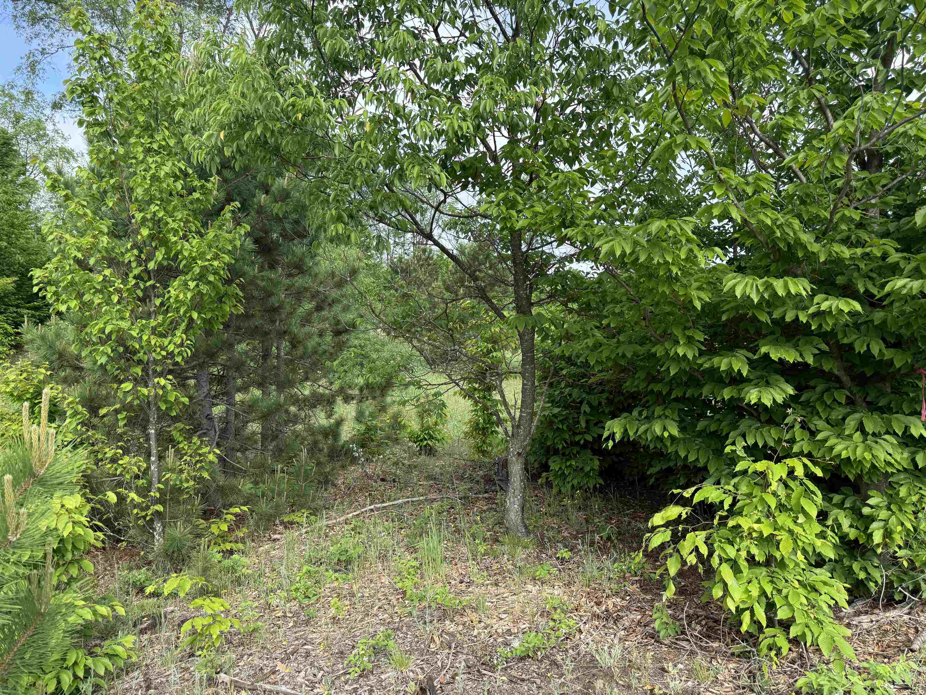 A4 East Kasson Road Traverse City, MI 49684 - Photo 11 of 12