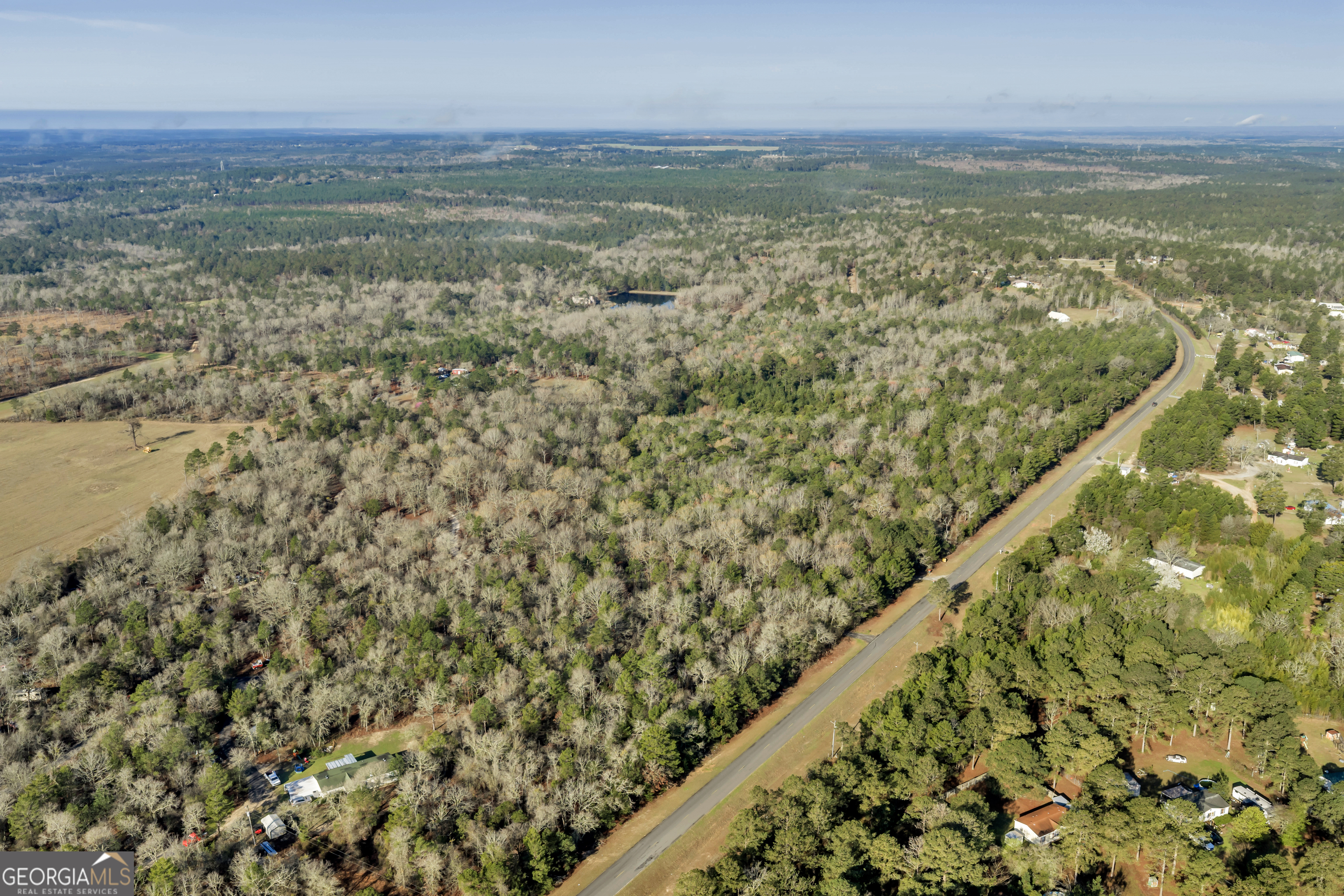 271 Dr Brooks Road Box Springs, GA 31801 - Photo 11 of 63