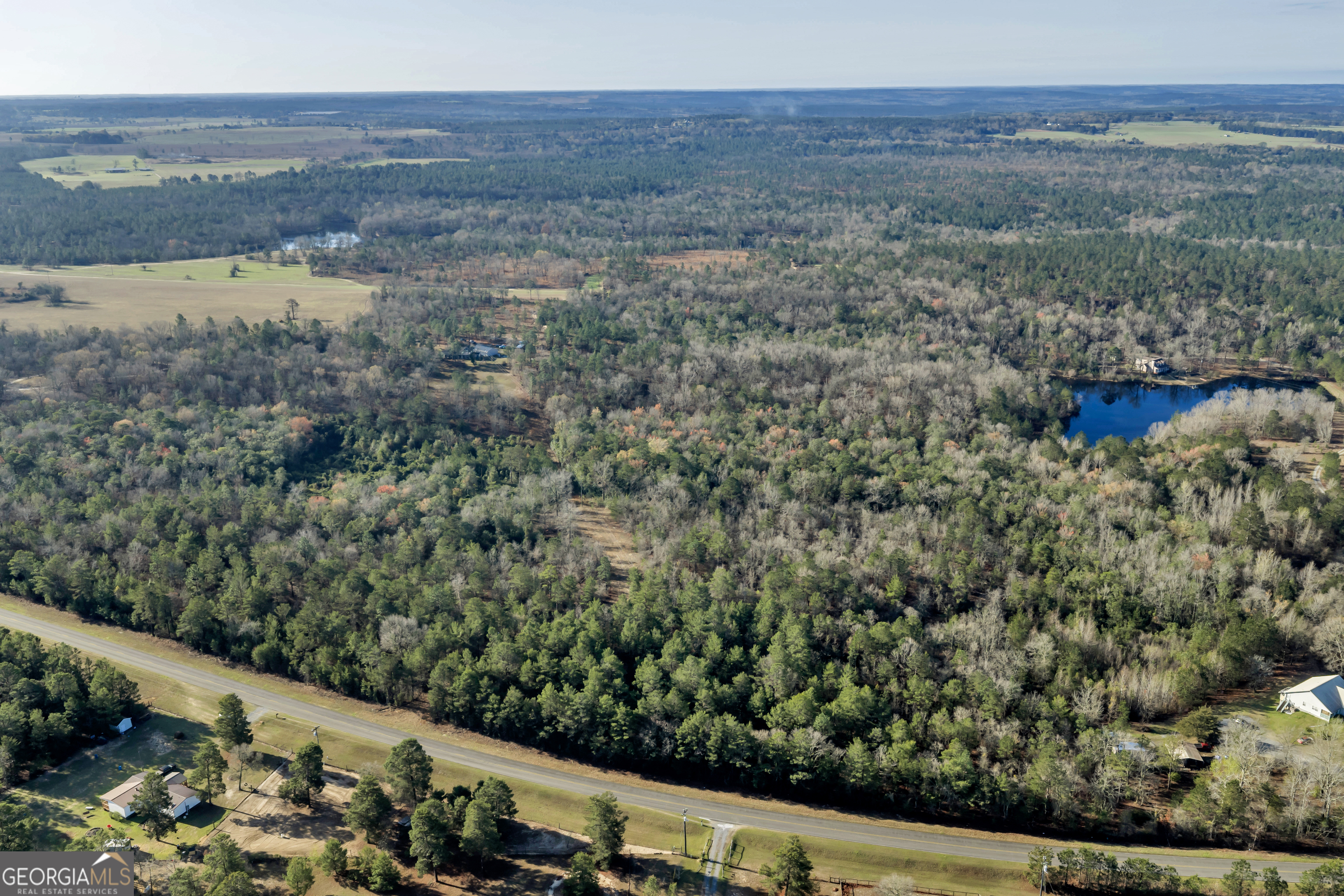 271 Dr Brooks Road Box Springs, GA 31801 - Photo 13 of 63 a view of a yard with an outdoor seating