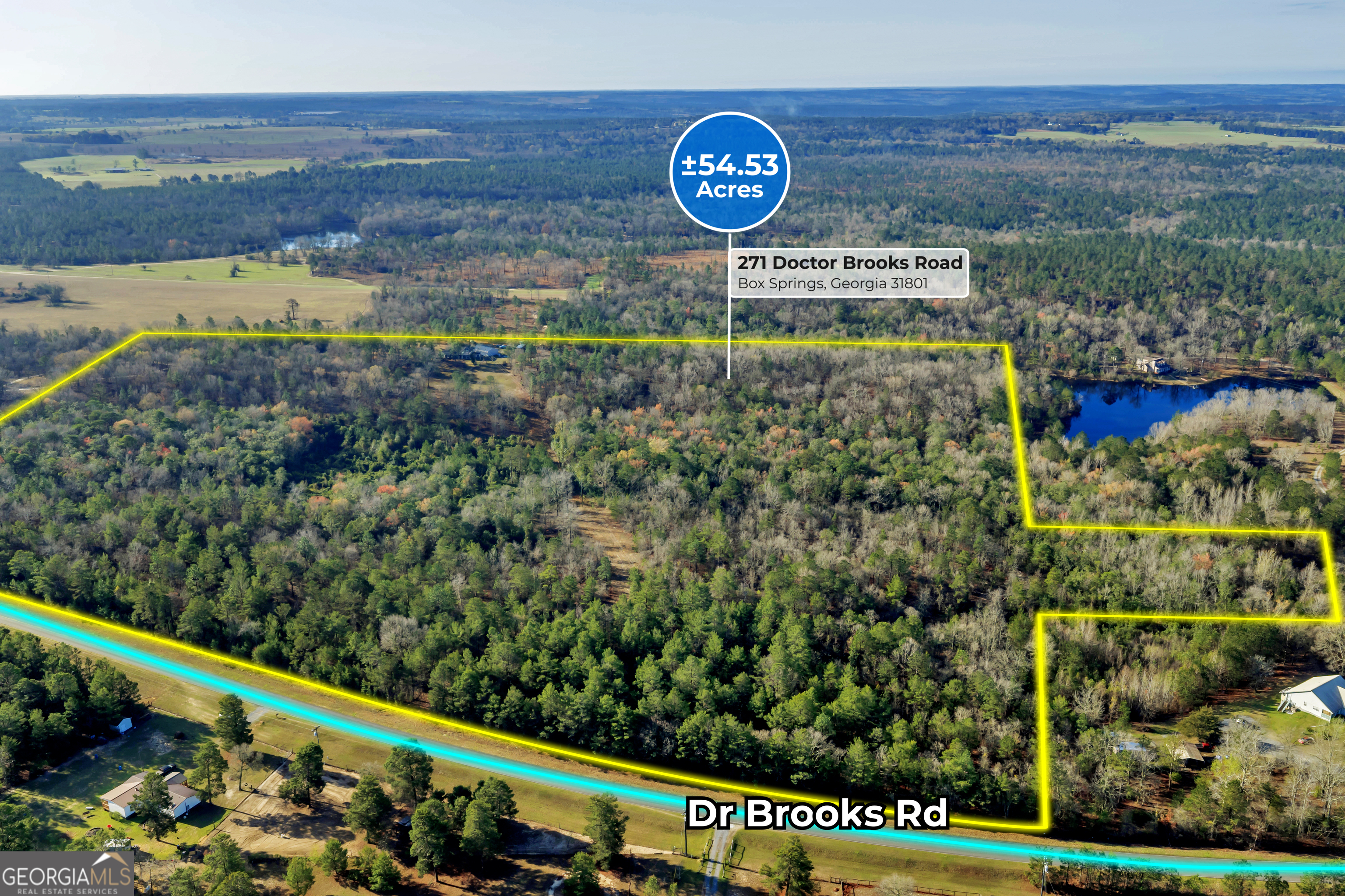 271 Dr Brooks Road Box Springs, GA 31801 - Photo 2 of 63 a view of a street with a park